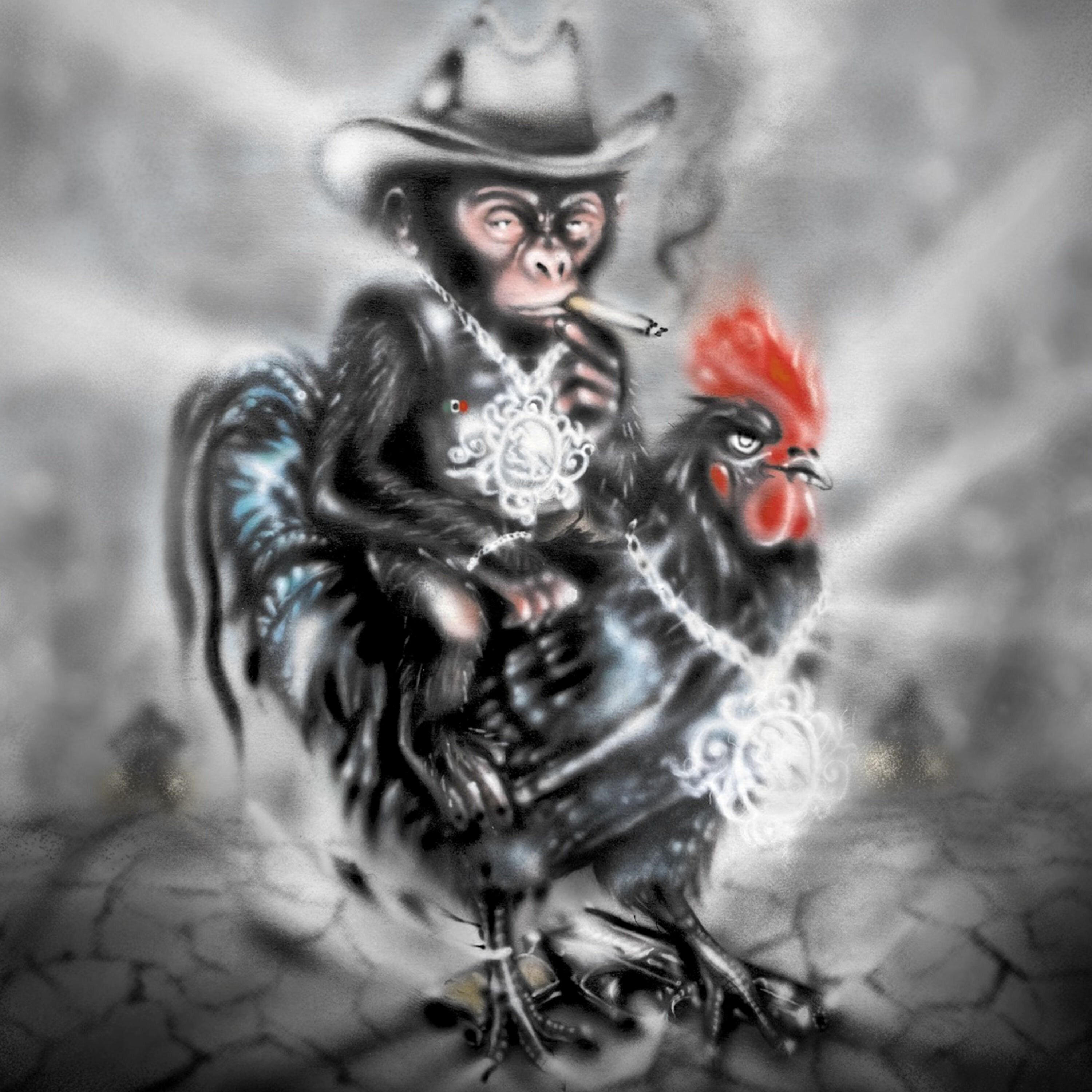 Релиз GALLO DROGADO