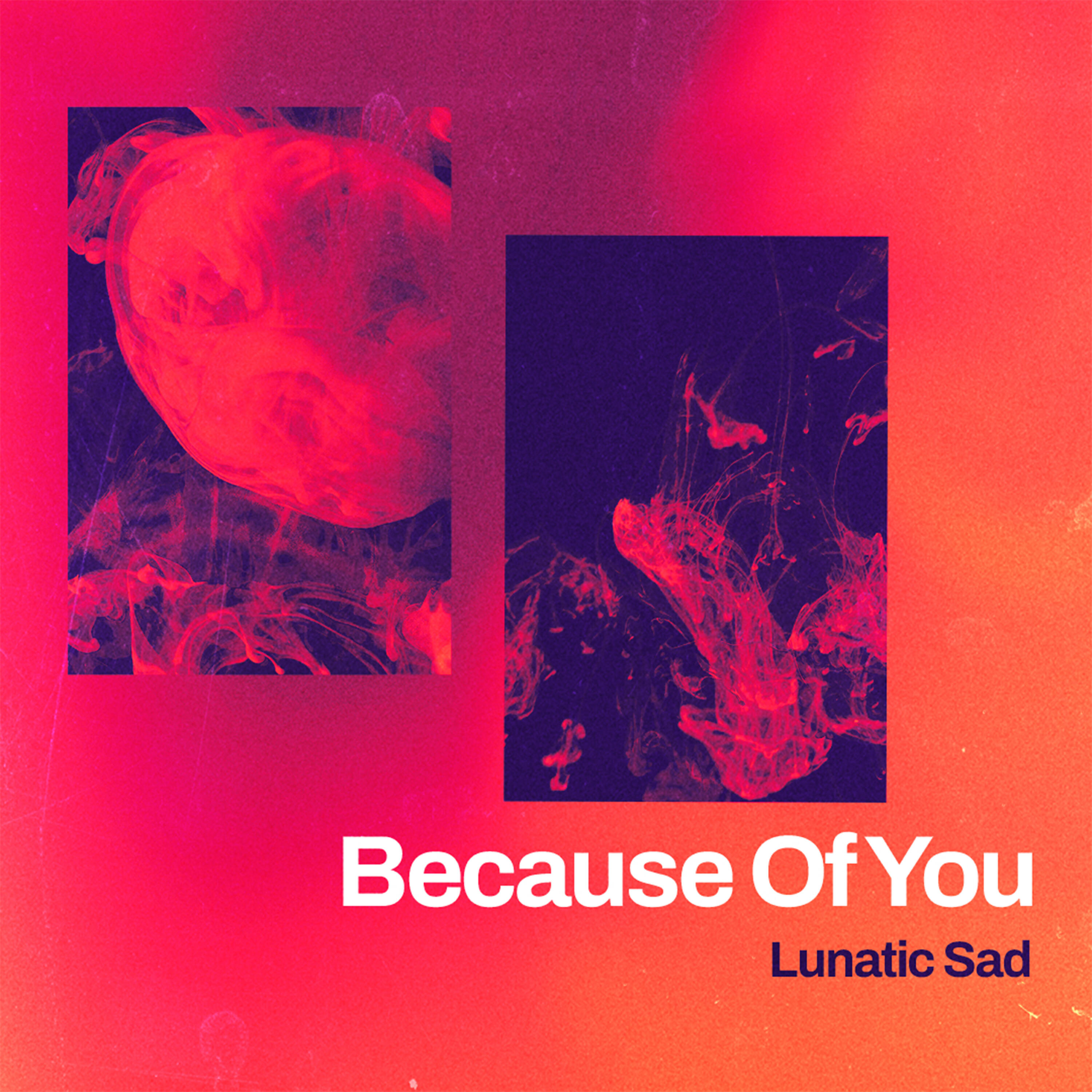 Релиз Because Of You