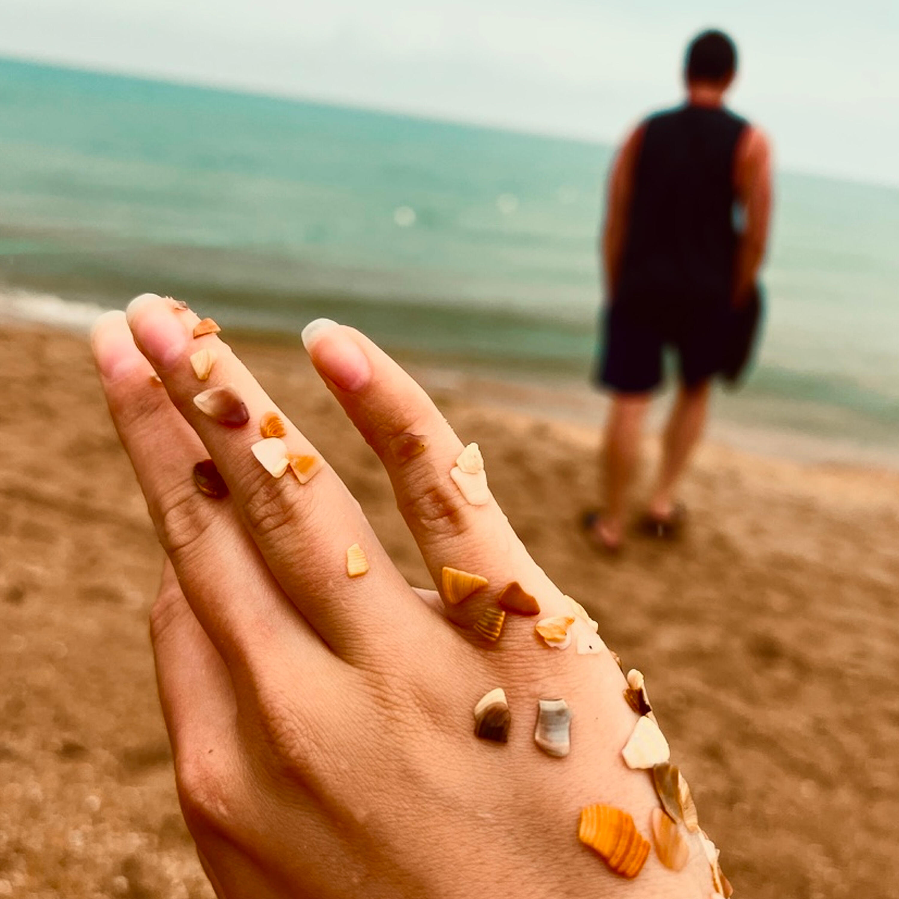 Релиз Своё море