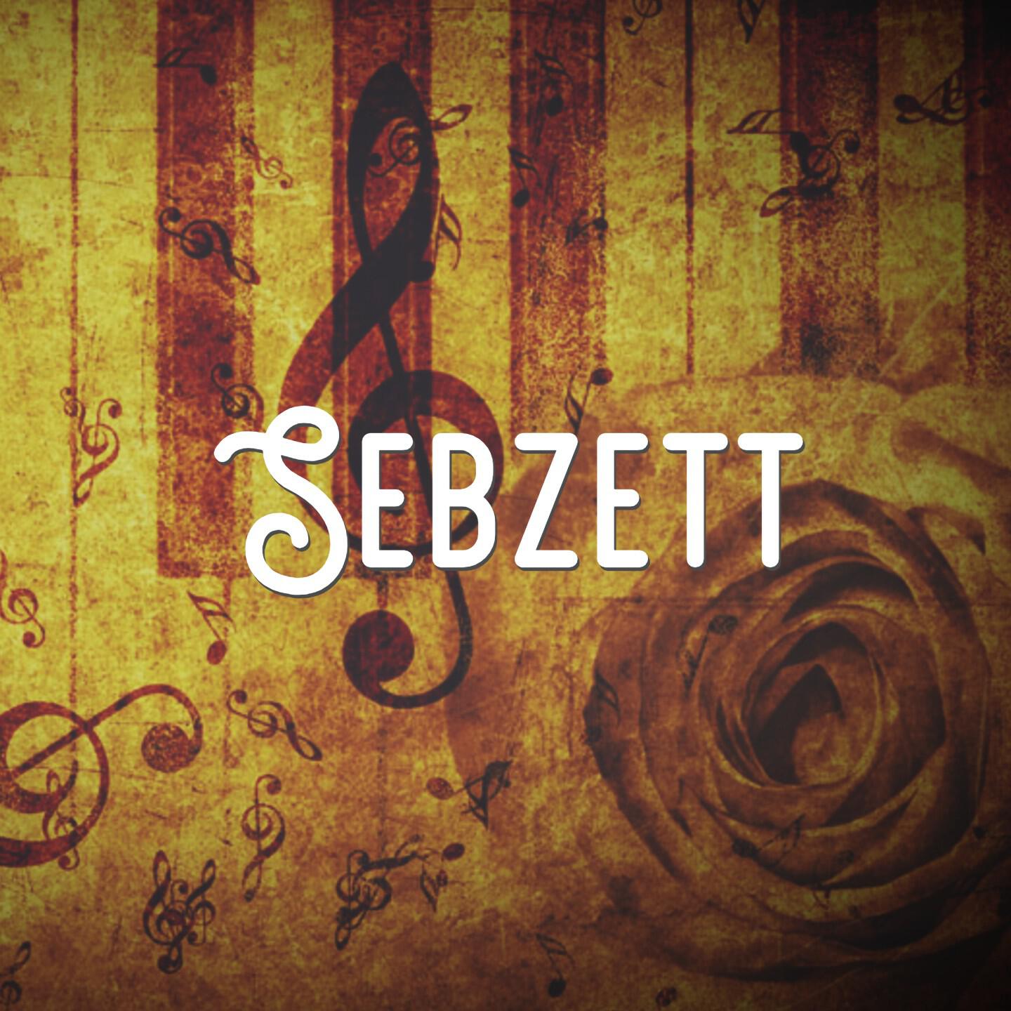 Релиз Sebzett