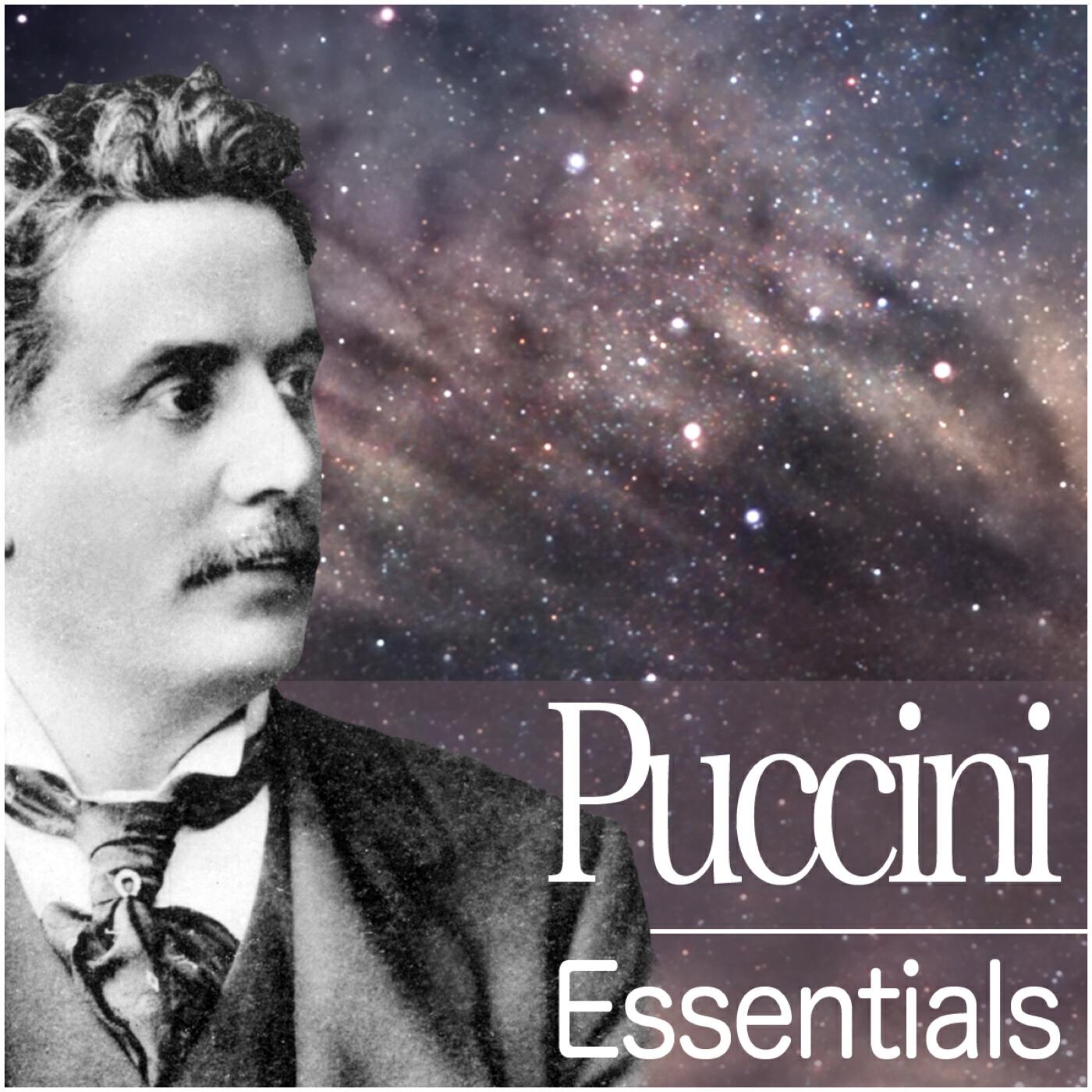 Релиз Puccini Essentials
