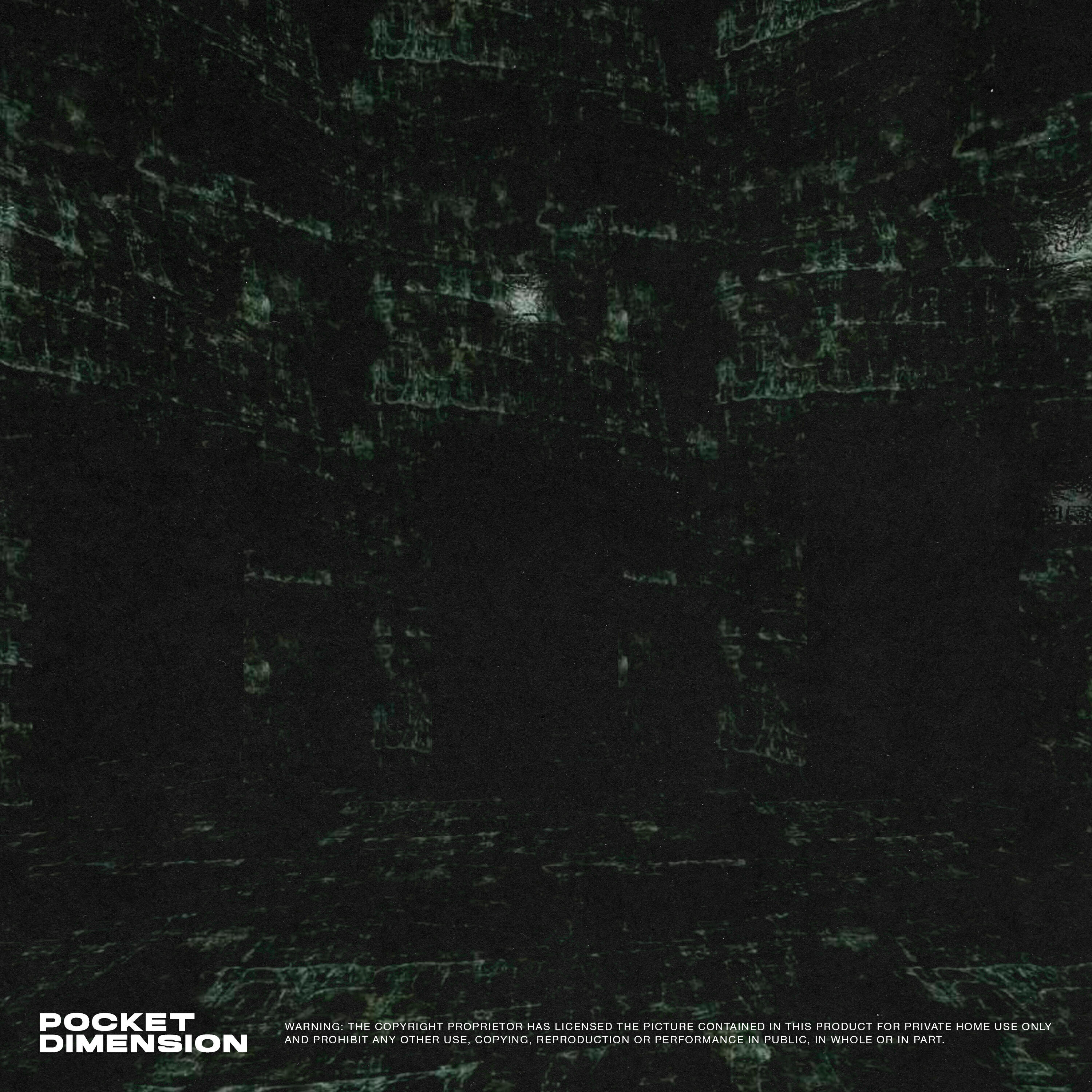 Релиз Pocket Dimension