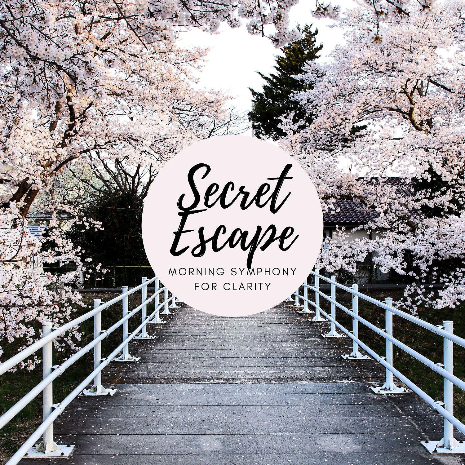 Релиз Secret Escape: Morning Symphony for Clarity, Green Mindfulness