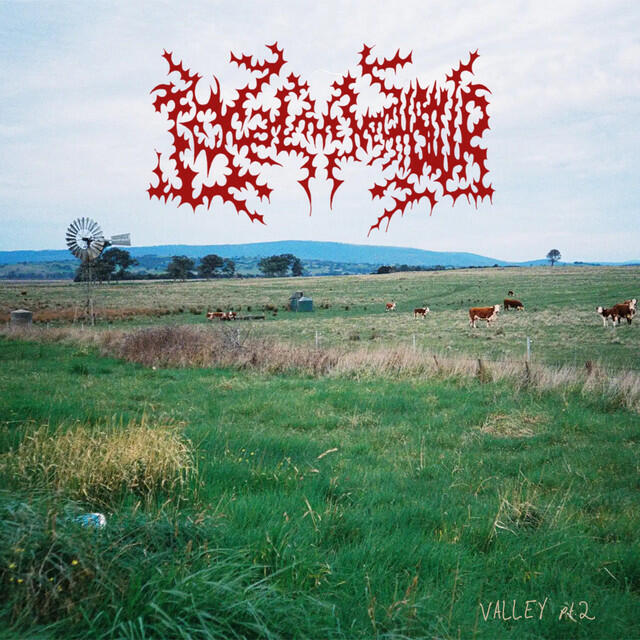 Релиз VALLEY pt.2