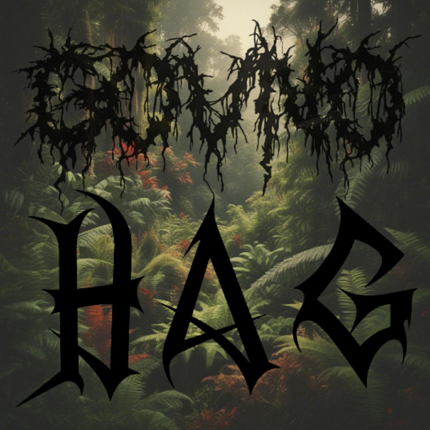 Постер альбома Hag