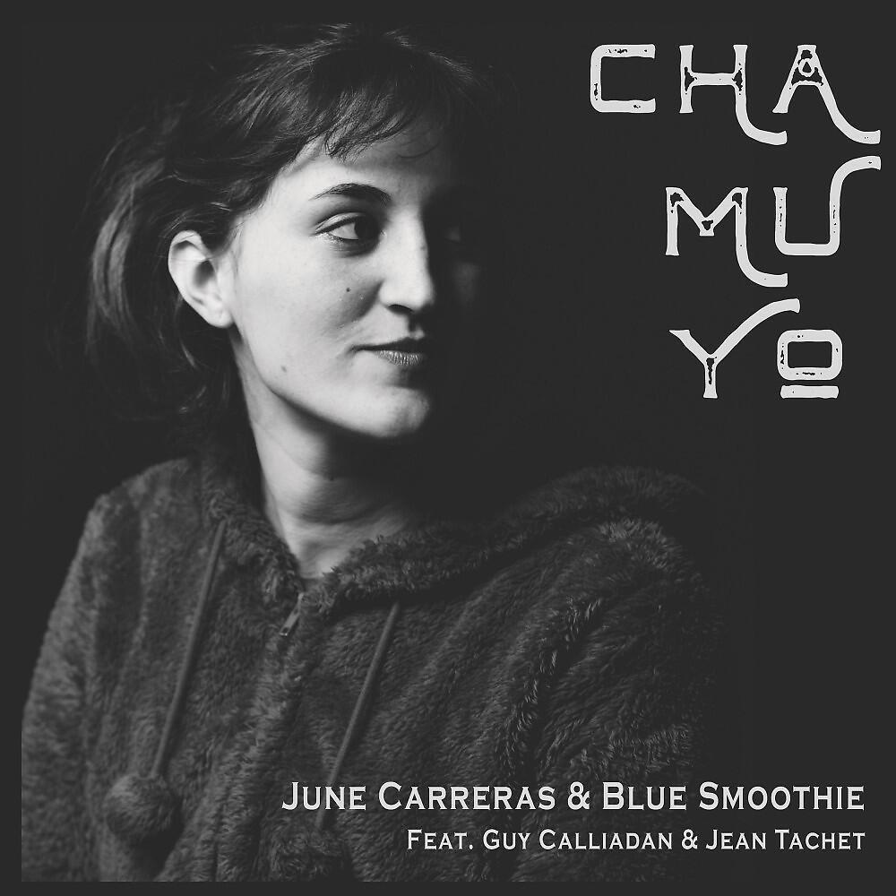 Постер альбома Chamuyo