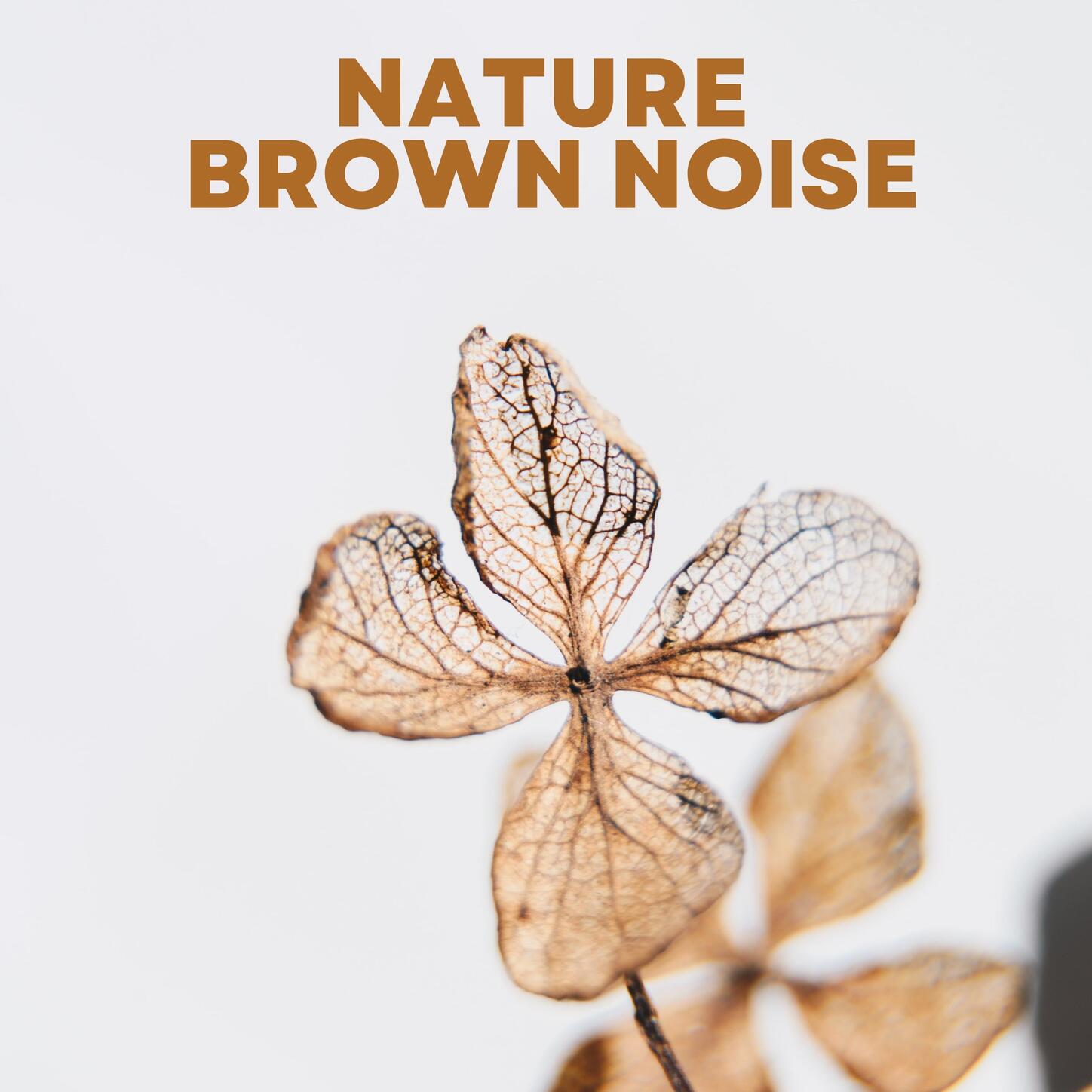 Релиз Nature Brown Noise