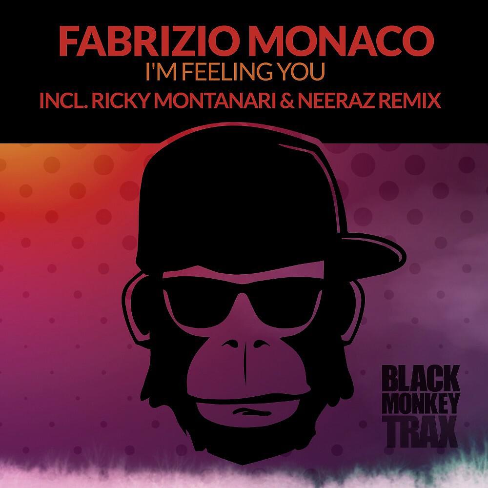 Релиз I'm Feeling You (Incl. Ricky Montanari & Neeraz Remix)