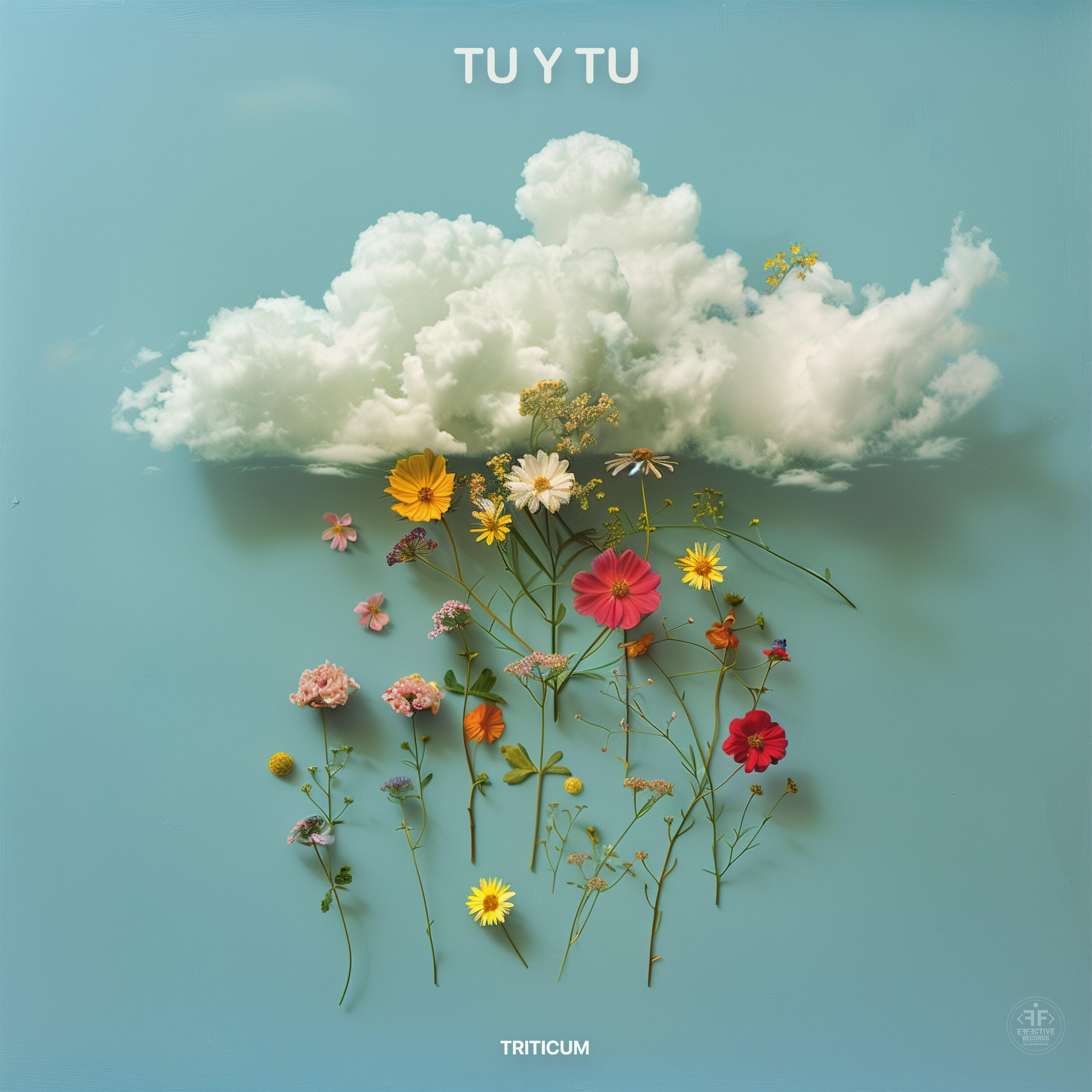 Релиз Tu y Tu