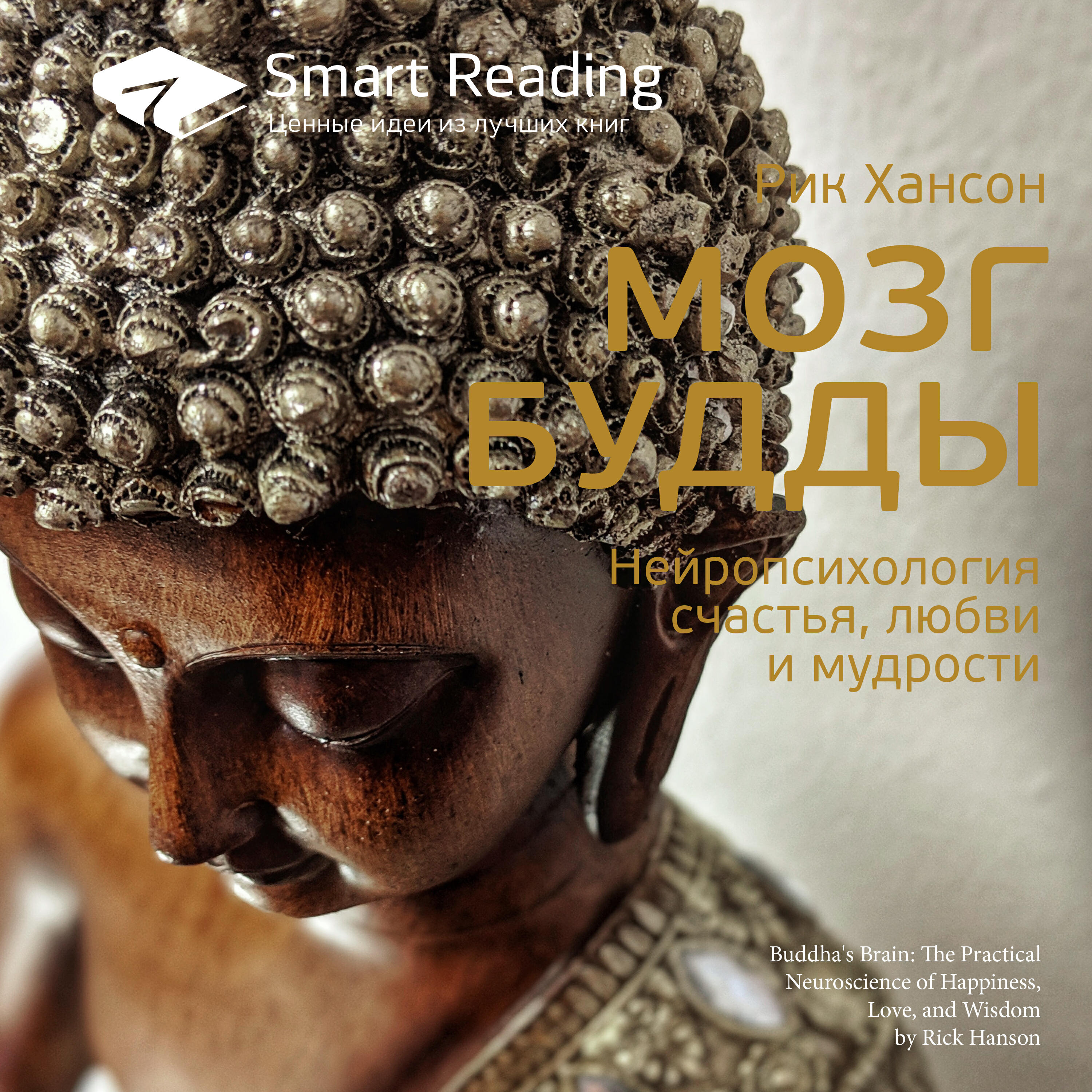 Книга Мозг Будды. Нейропсихология счастья, любви и мудрости. Рик Хансон. Ключевые идеи книги