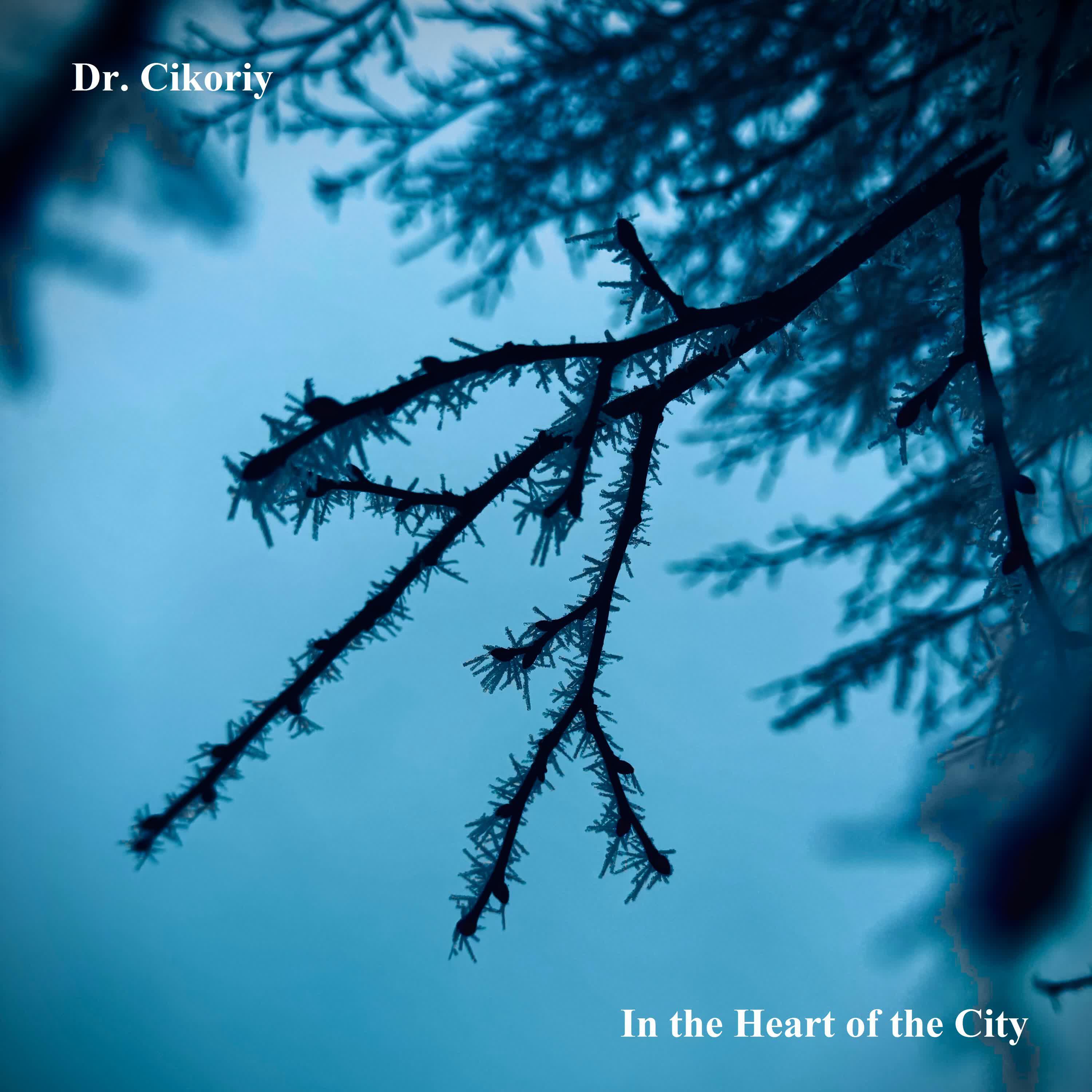 Релиз In the Heart of the City