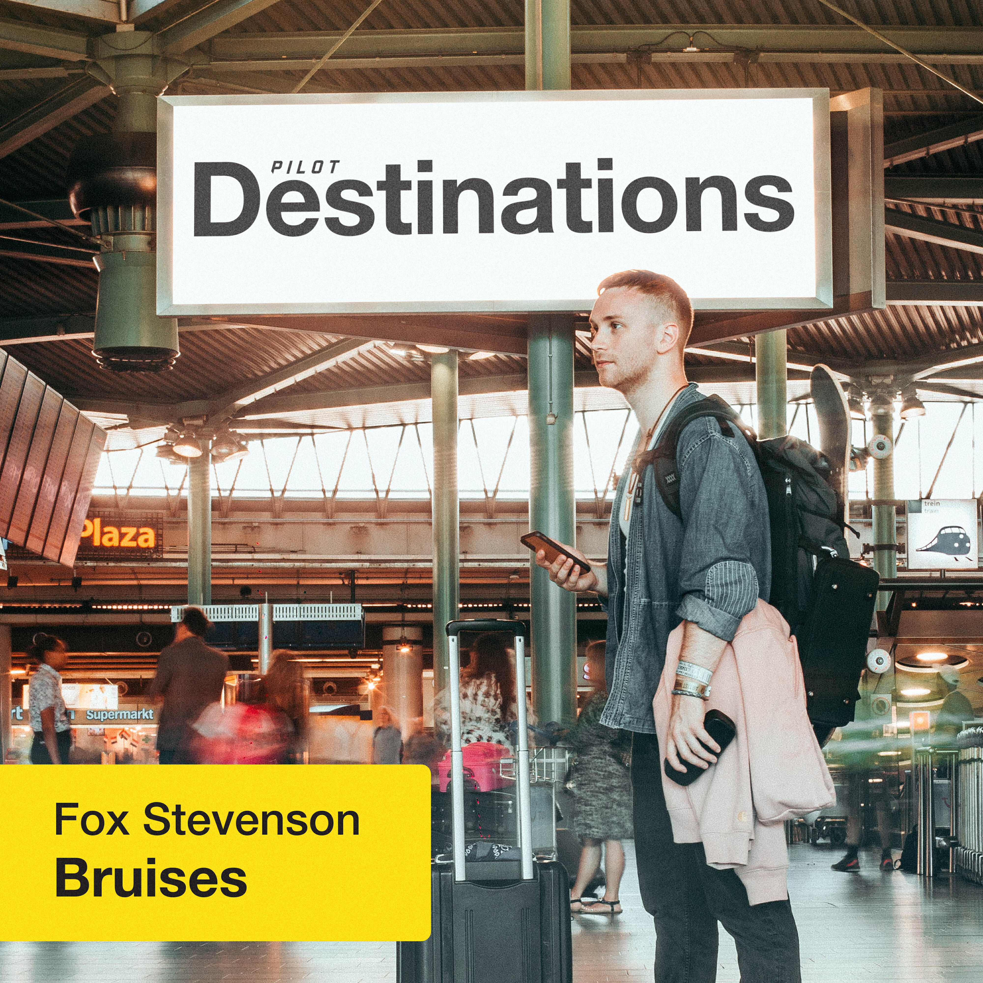 Релиз Bruises (Destinations)