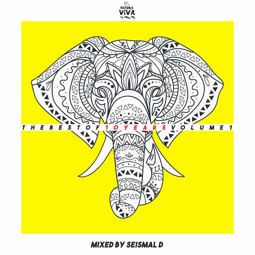 Релиз The Best of 10 Years Volume 1 (Mixed by Seismal D)