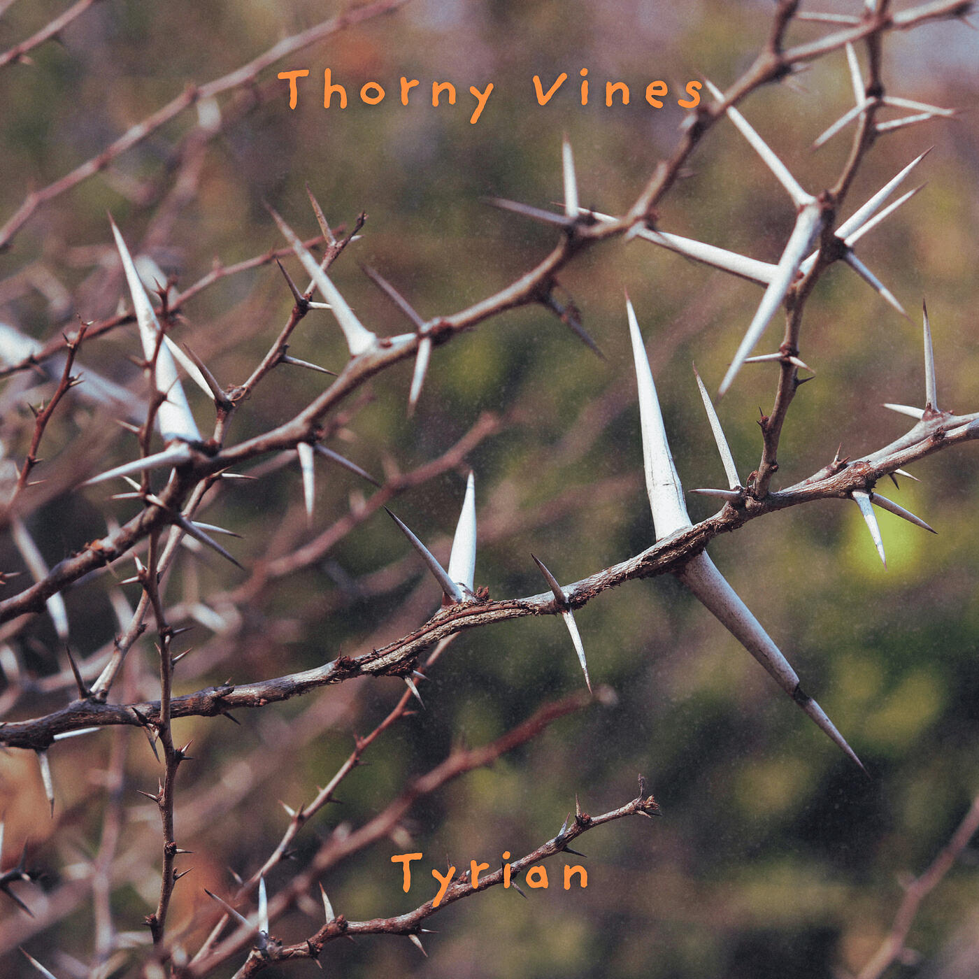 Релиз Thorny Vines