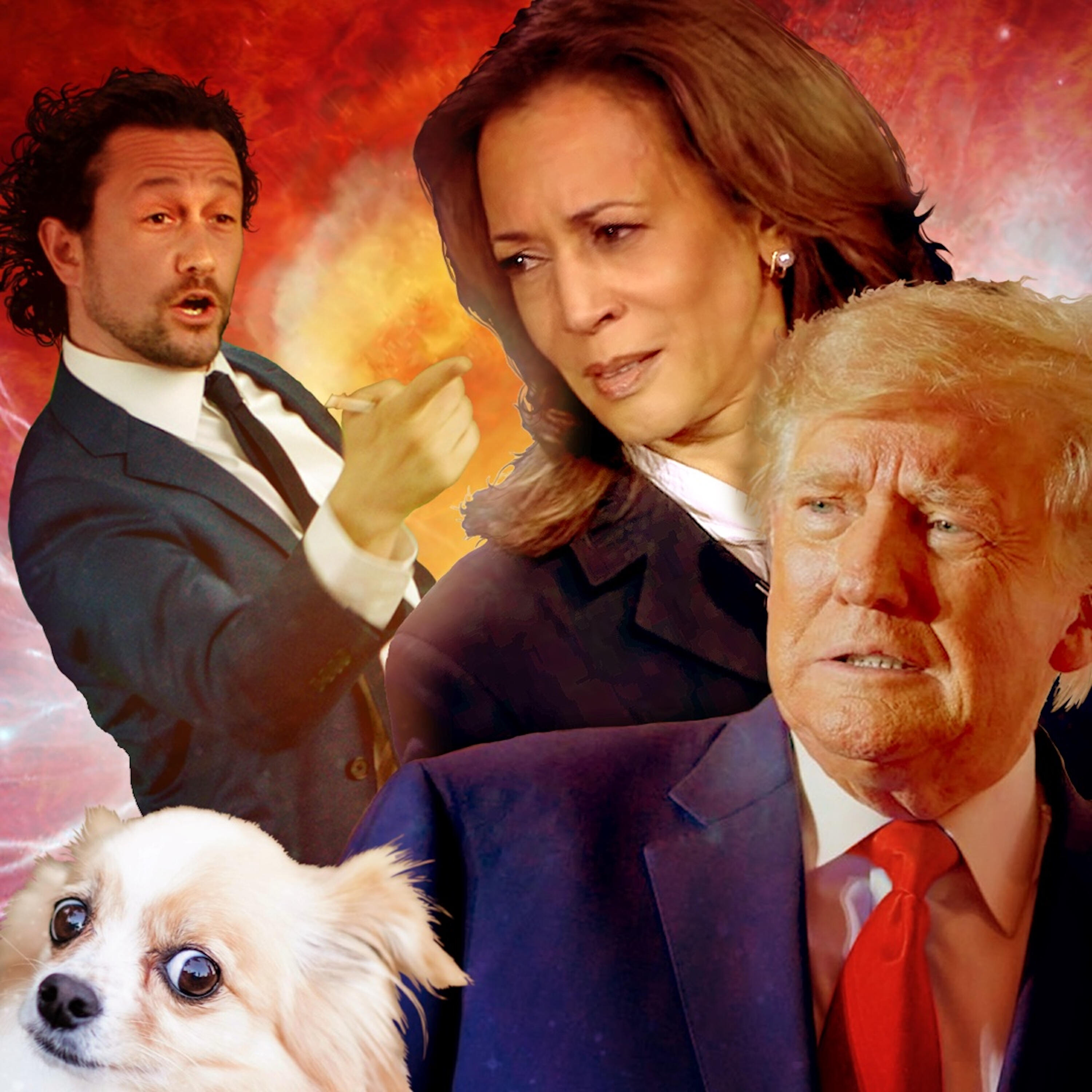 Релиз They're Eating The Dogs