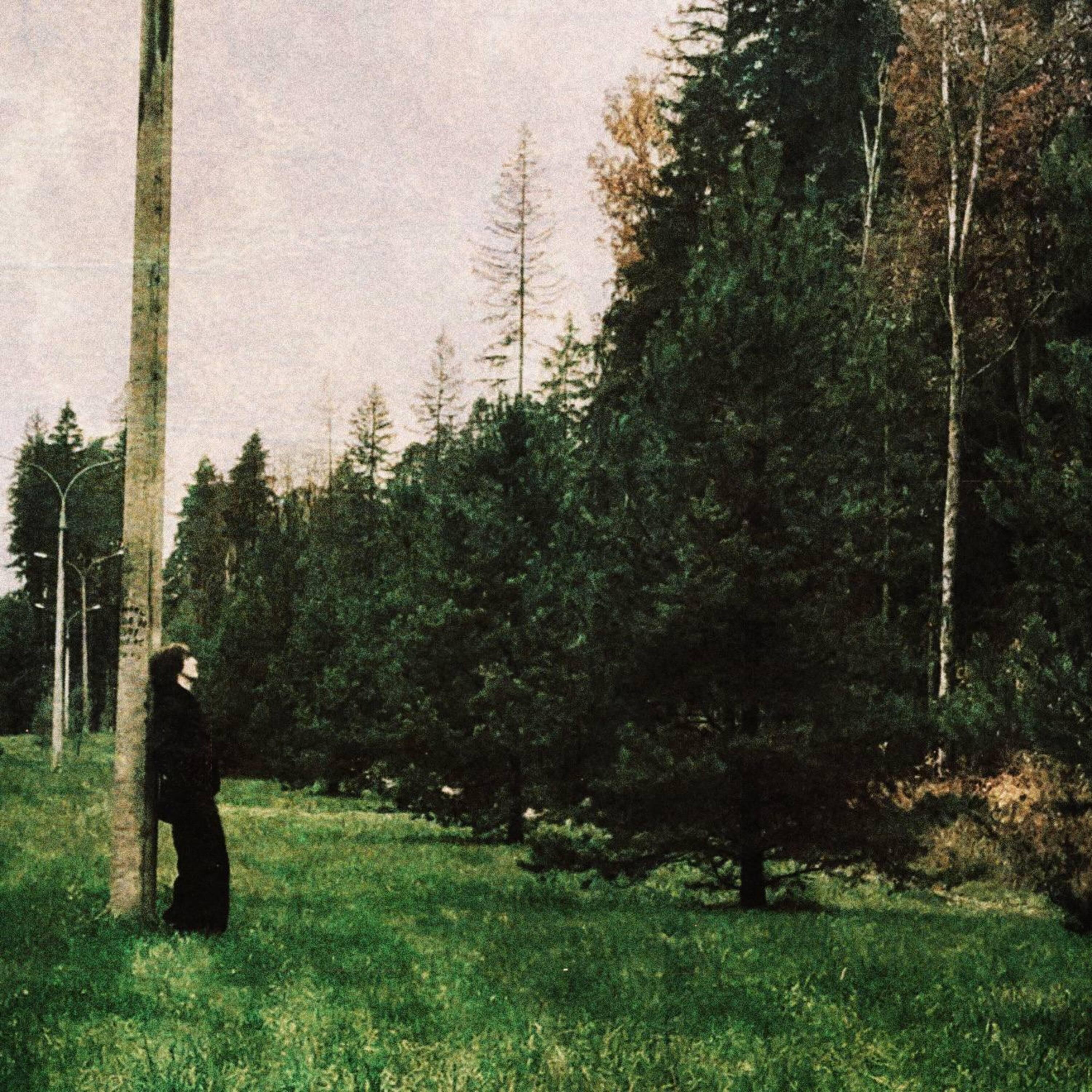 ярик стомпер