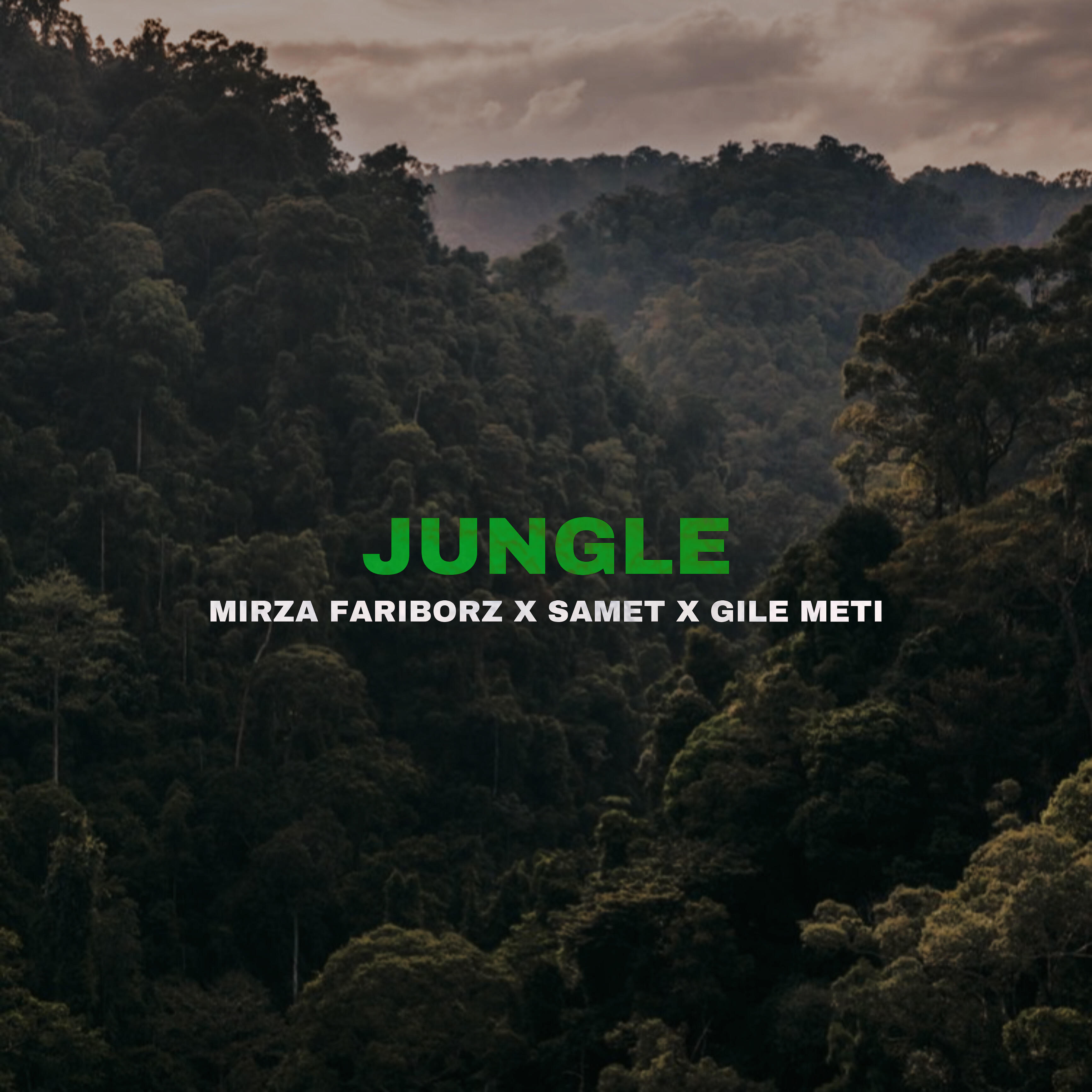 Релиз Jungle