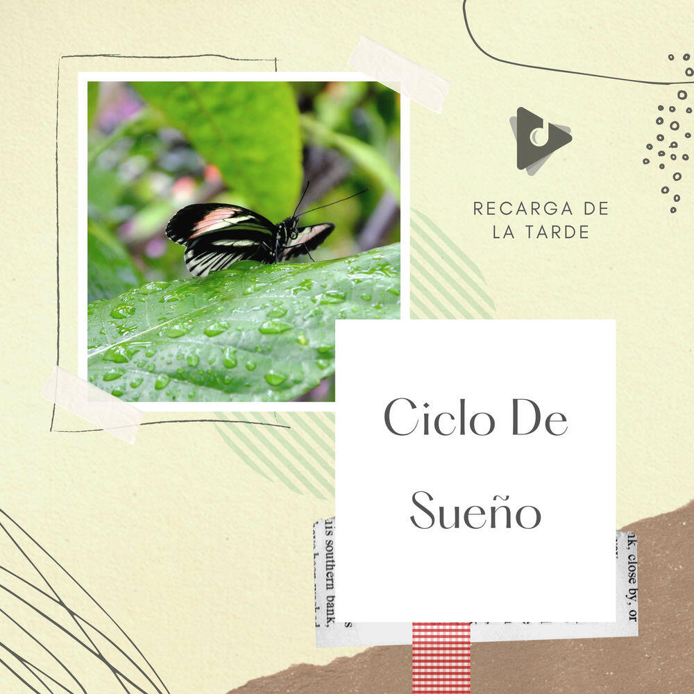 Релиз Ciclo De Sueño