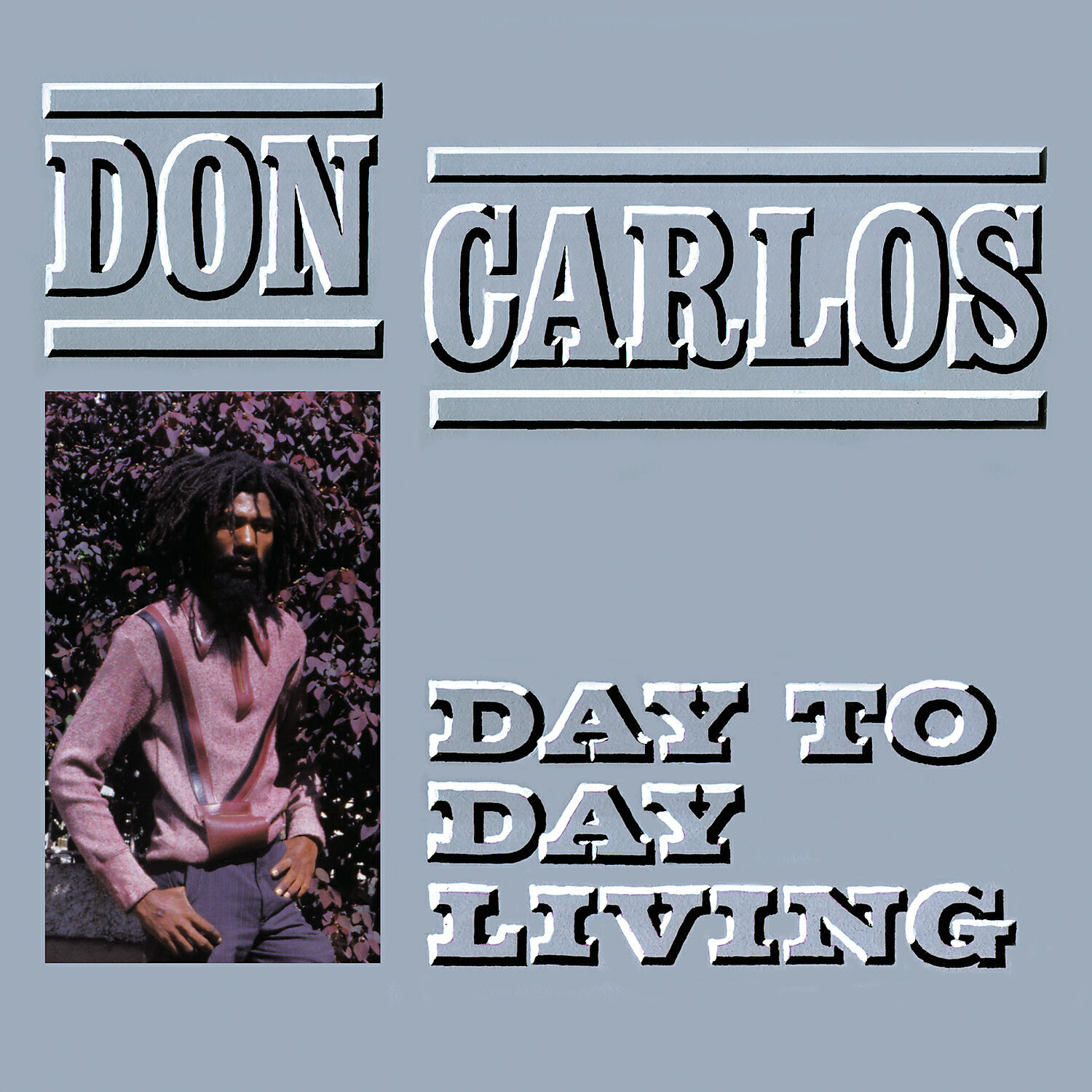 Релиз Day To Day Living