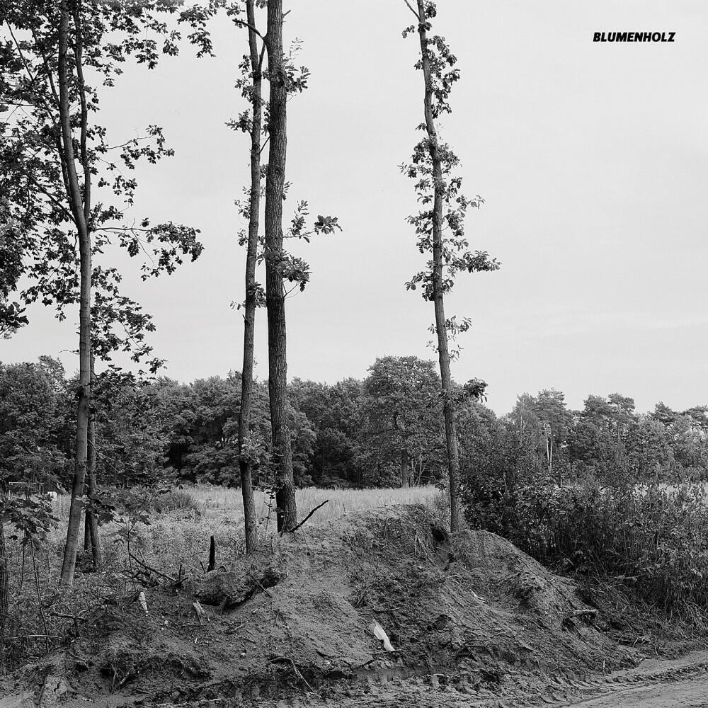 Релиз Blumenholz
