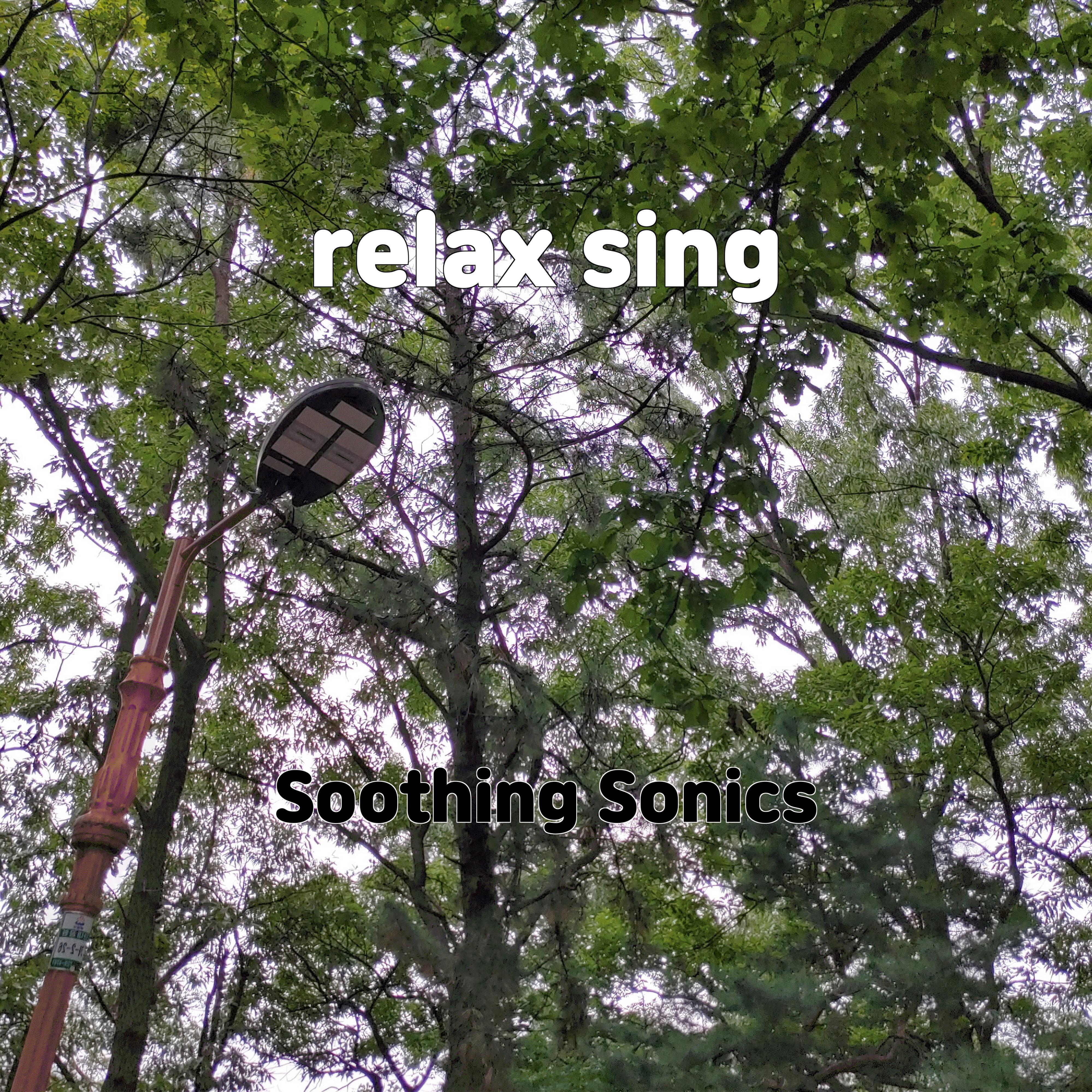 Релиз relax sing