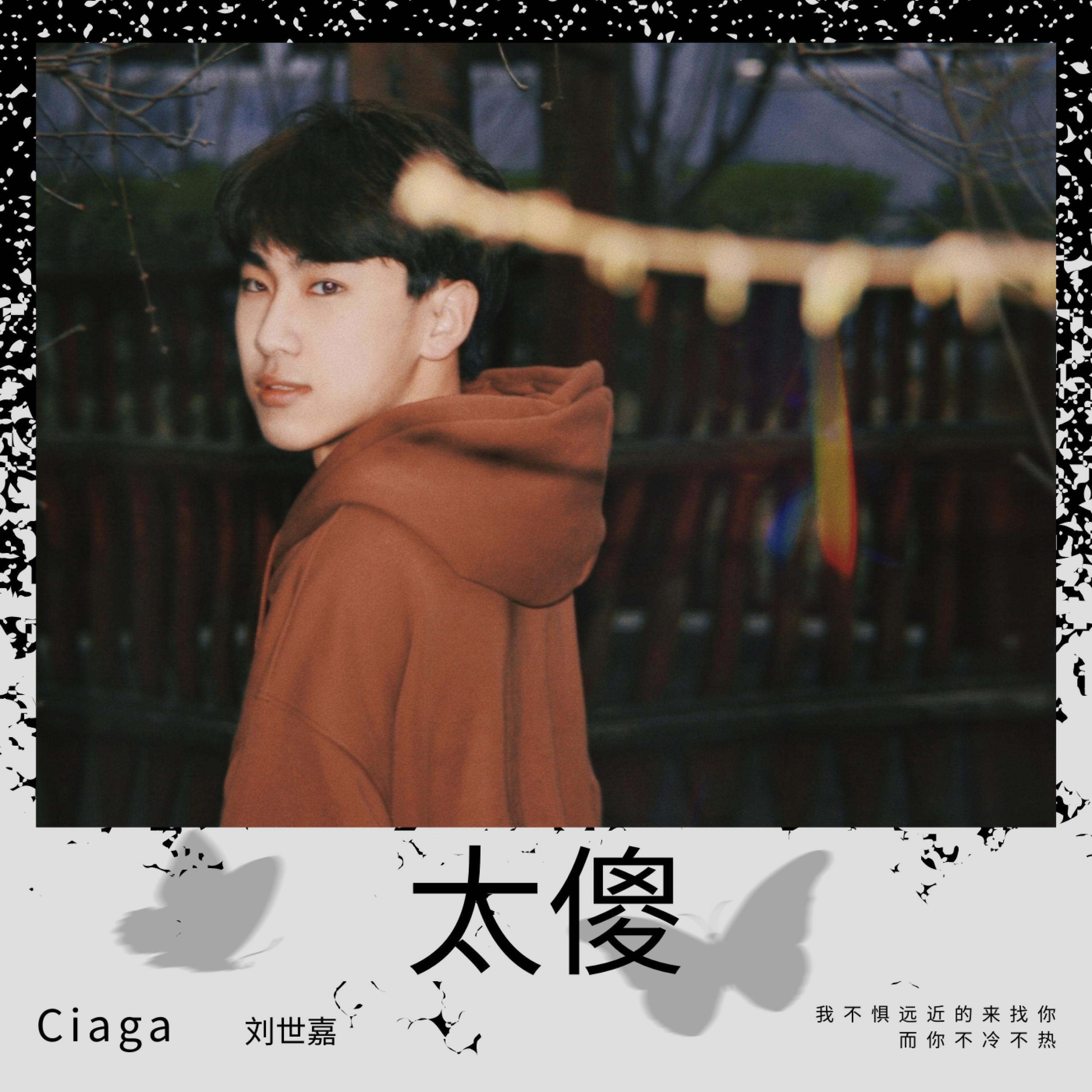 Релиз 太傻