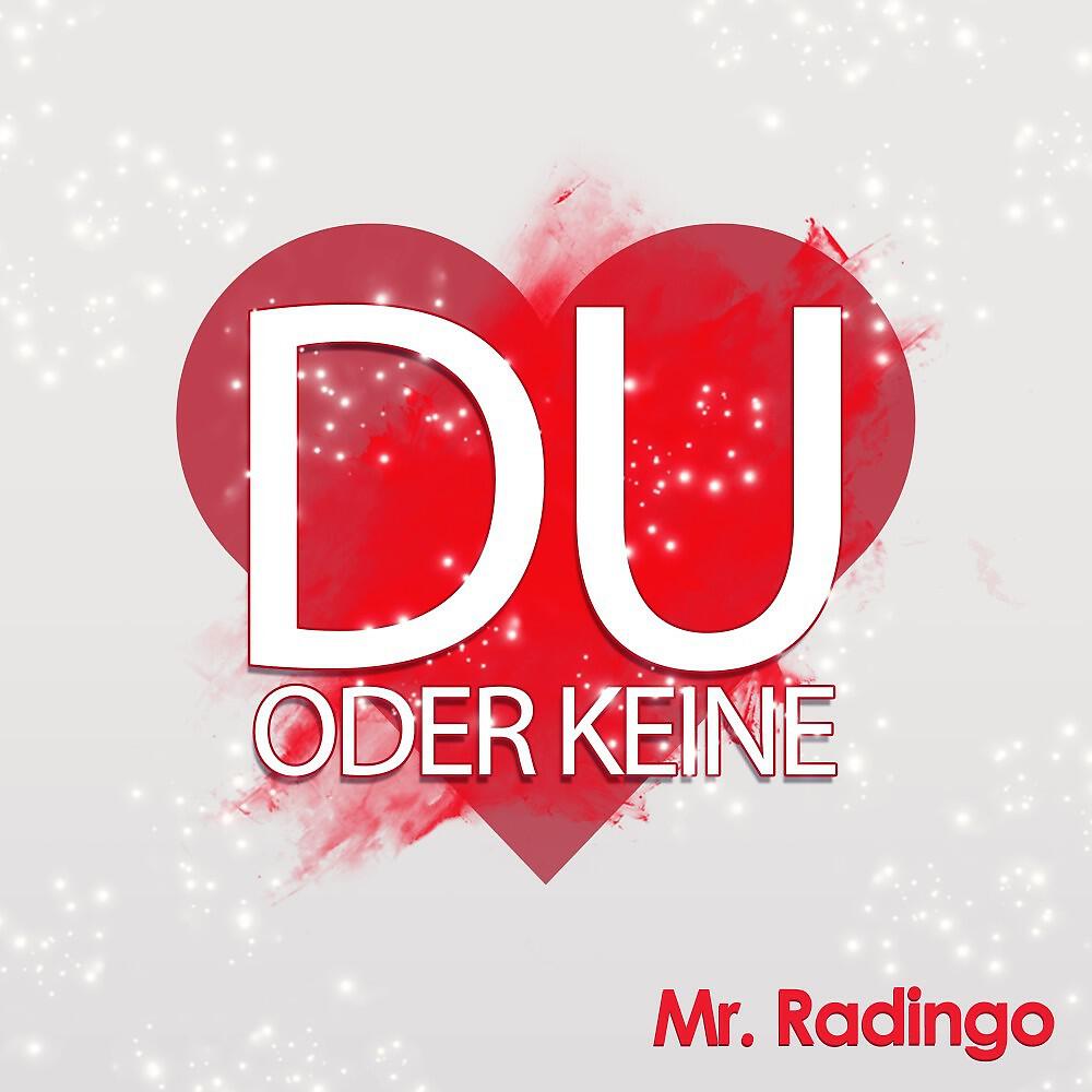 Mr. Radingo