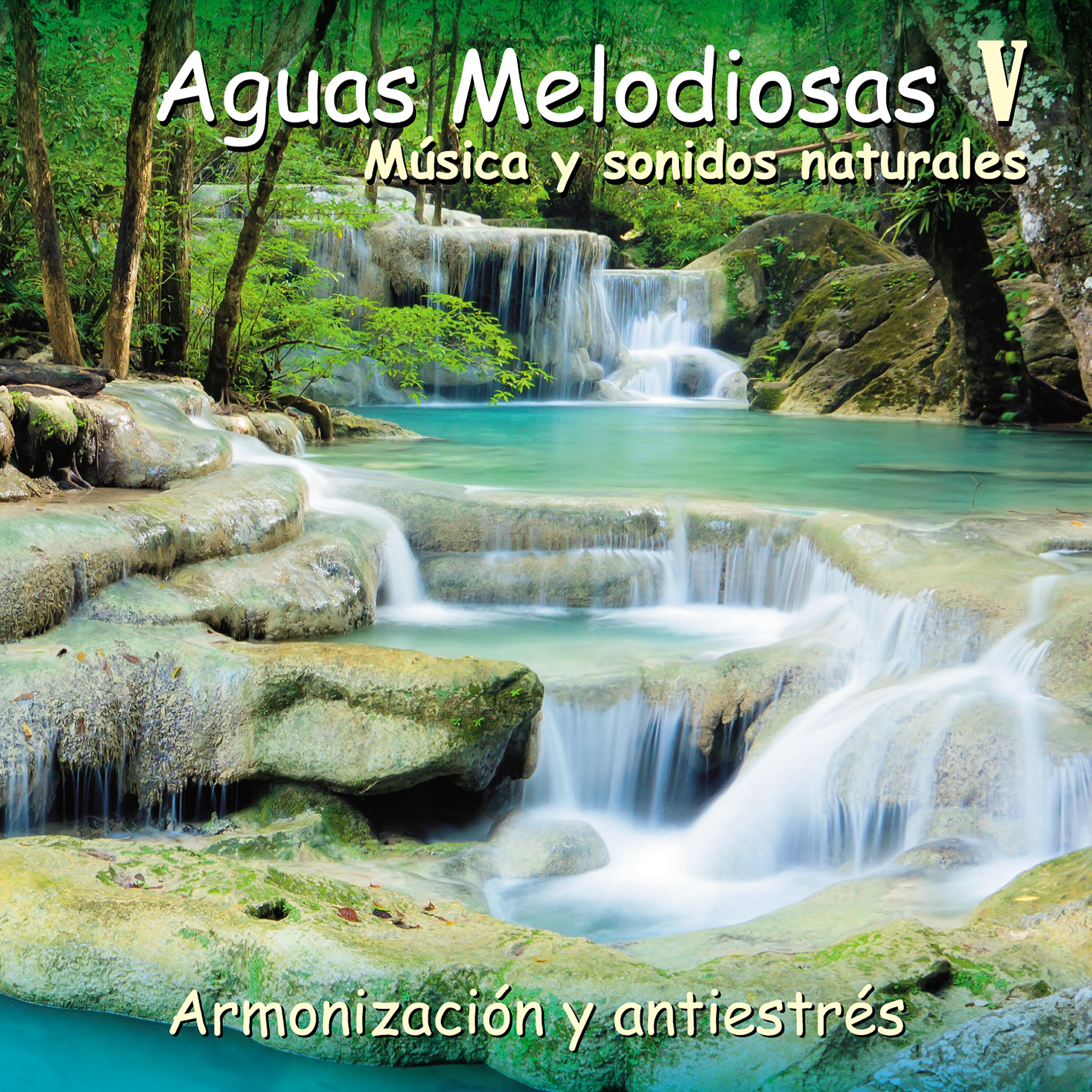 Релиз Aguas Melodiosas V