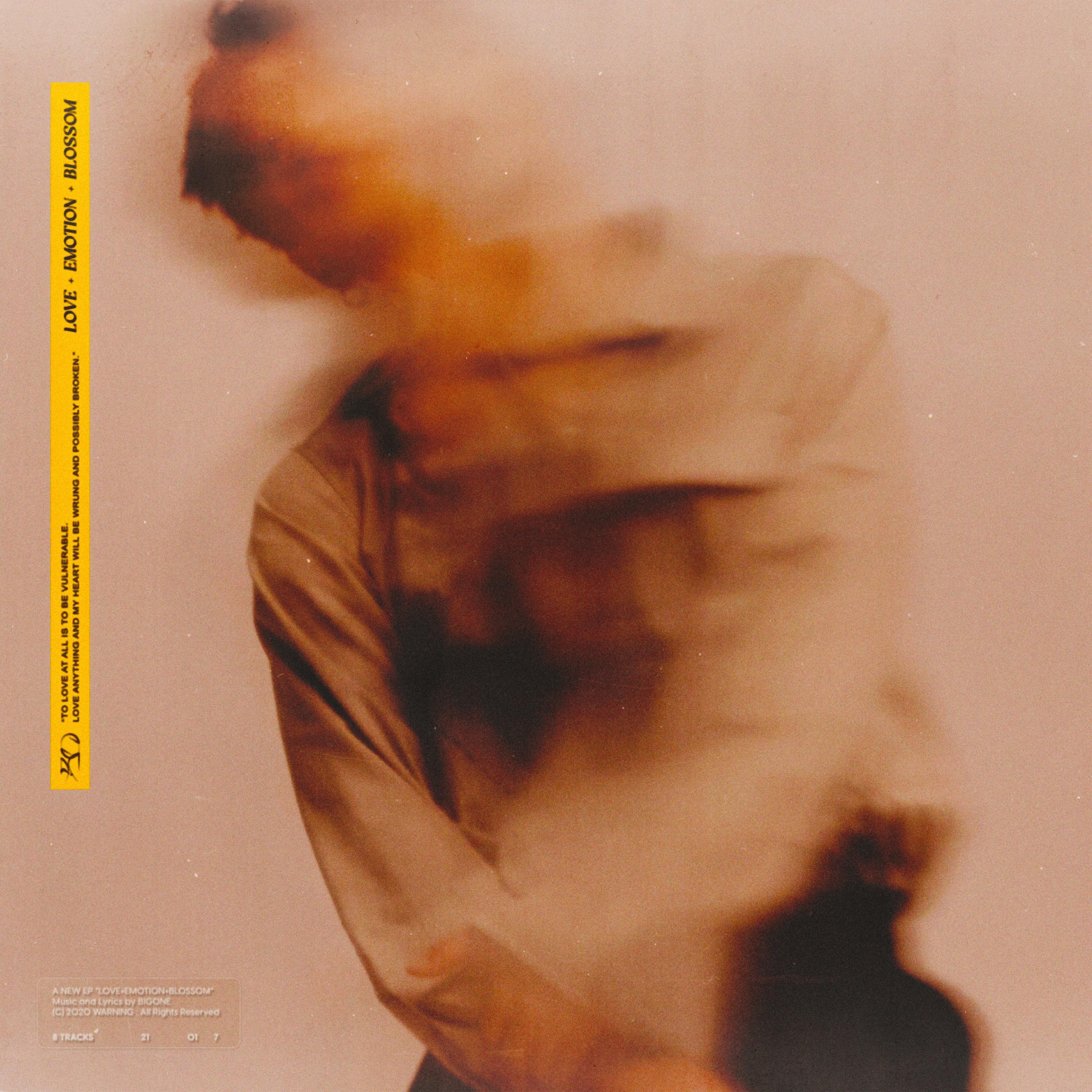 Релиз LOVE+EMOTION+BLOSSOM