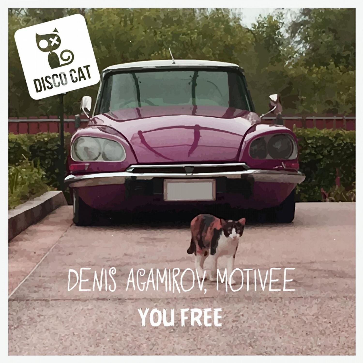 Релиз You Free
