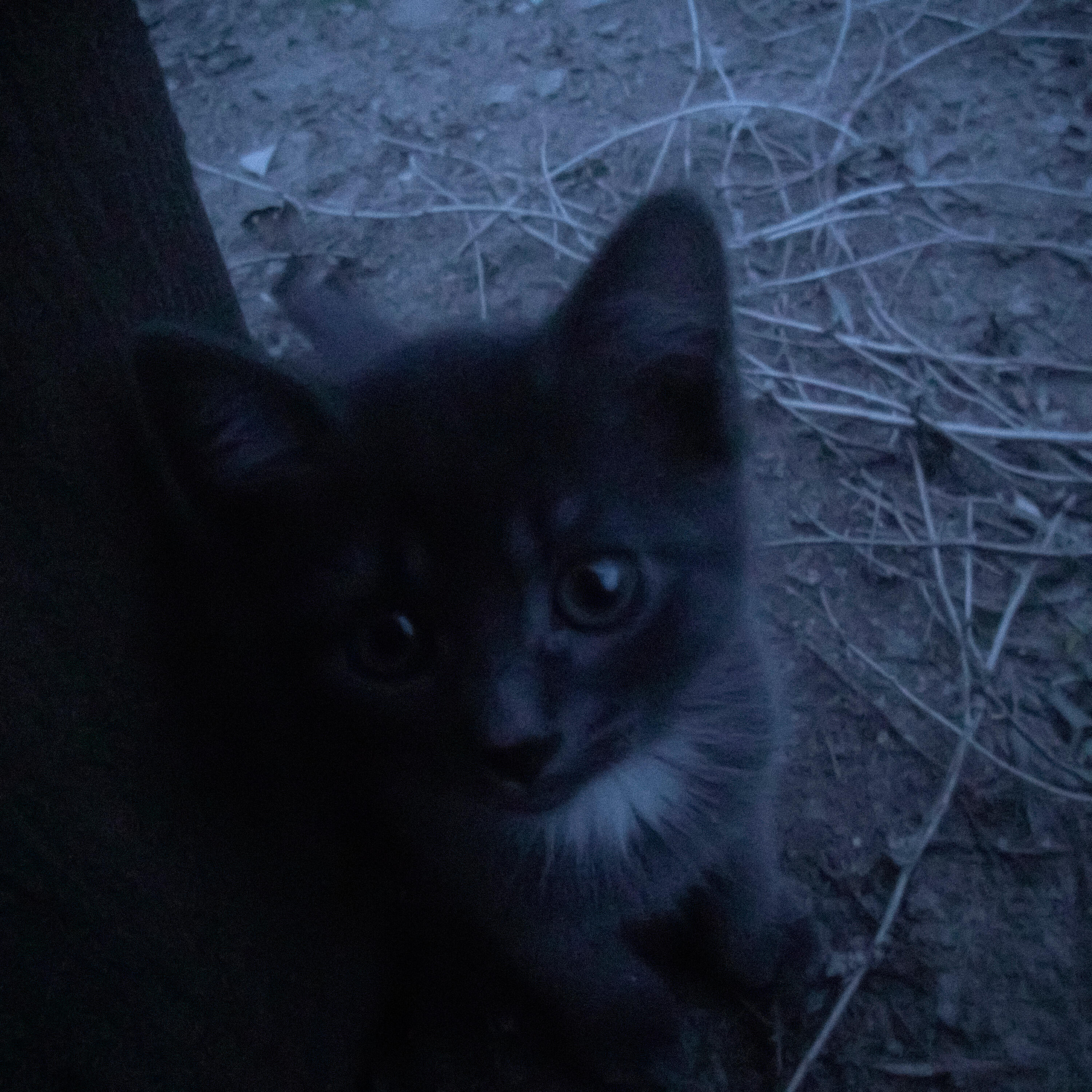 Релиз will you remember me?