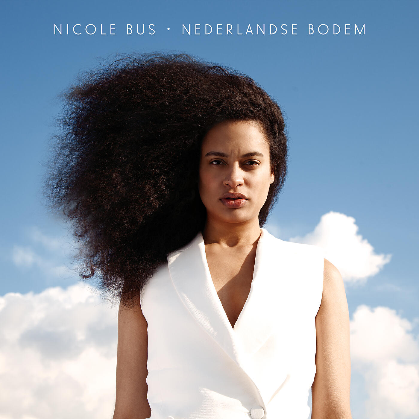 Релиз Nederlandse Bodem