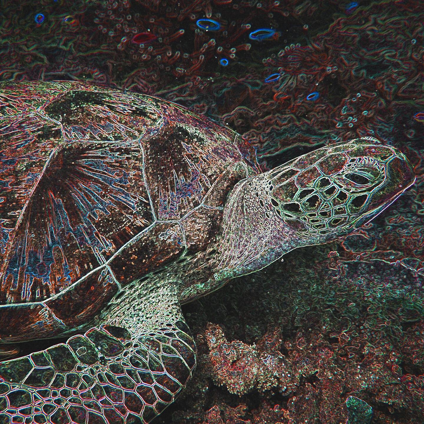 Релиз Stories From The Sea Club