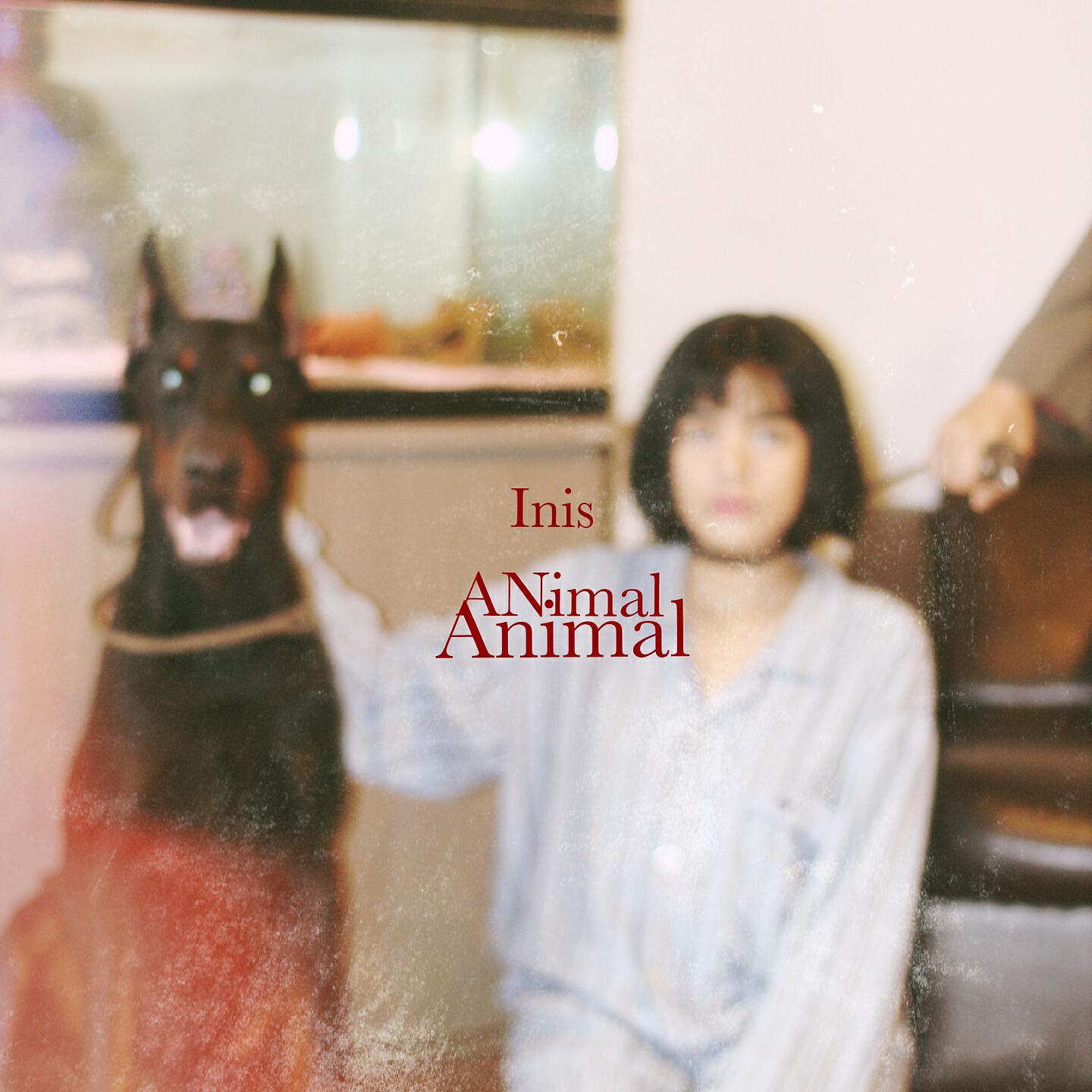 Релиз Animal