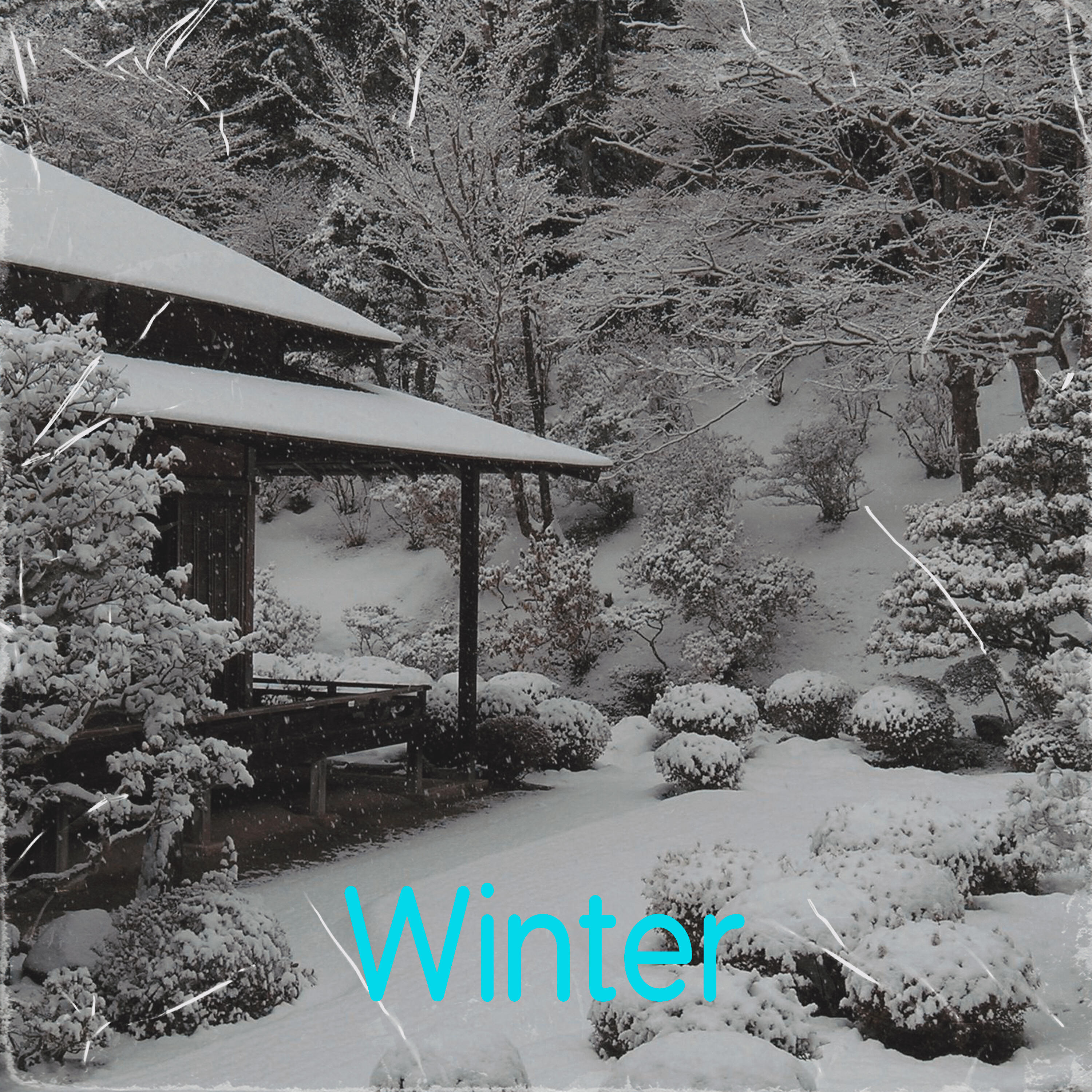 Релиз Winter