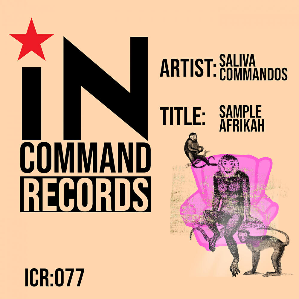 Релиз Sample Afrikah