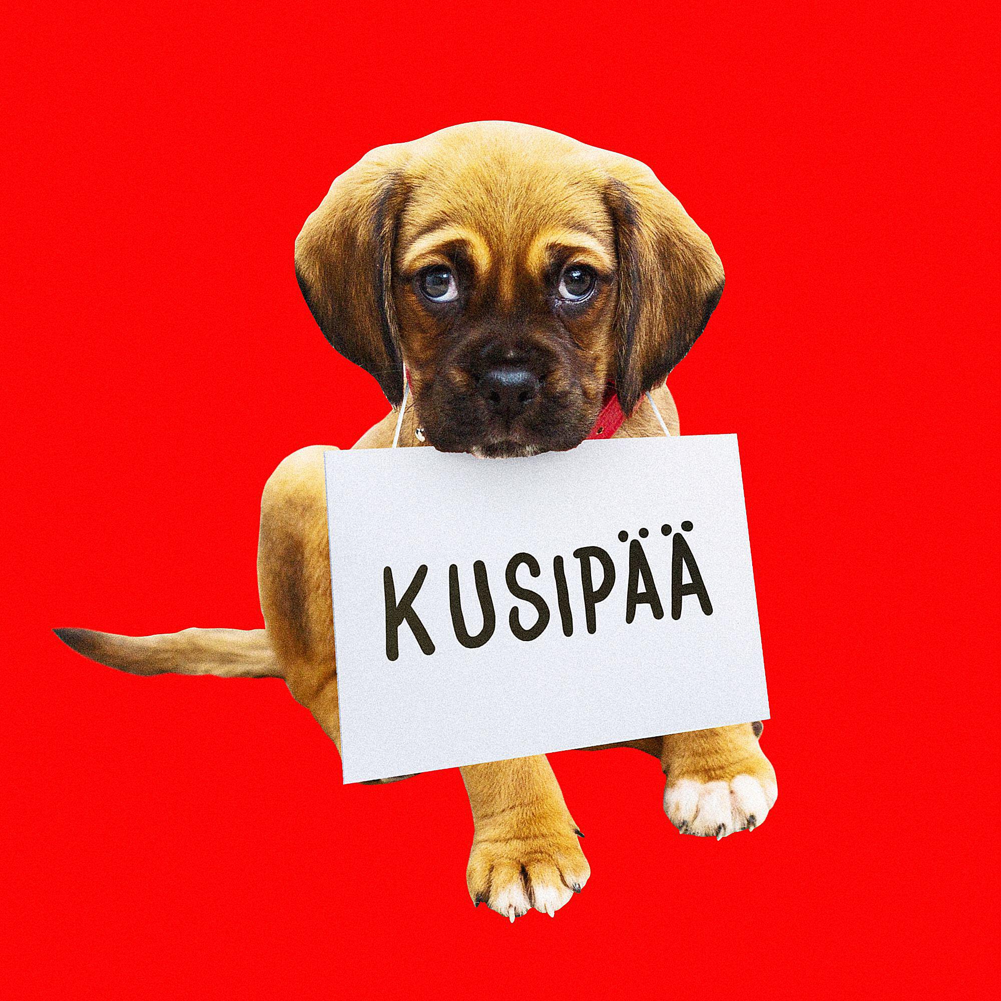 Релиз Kusipää