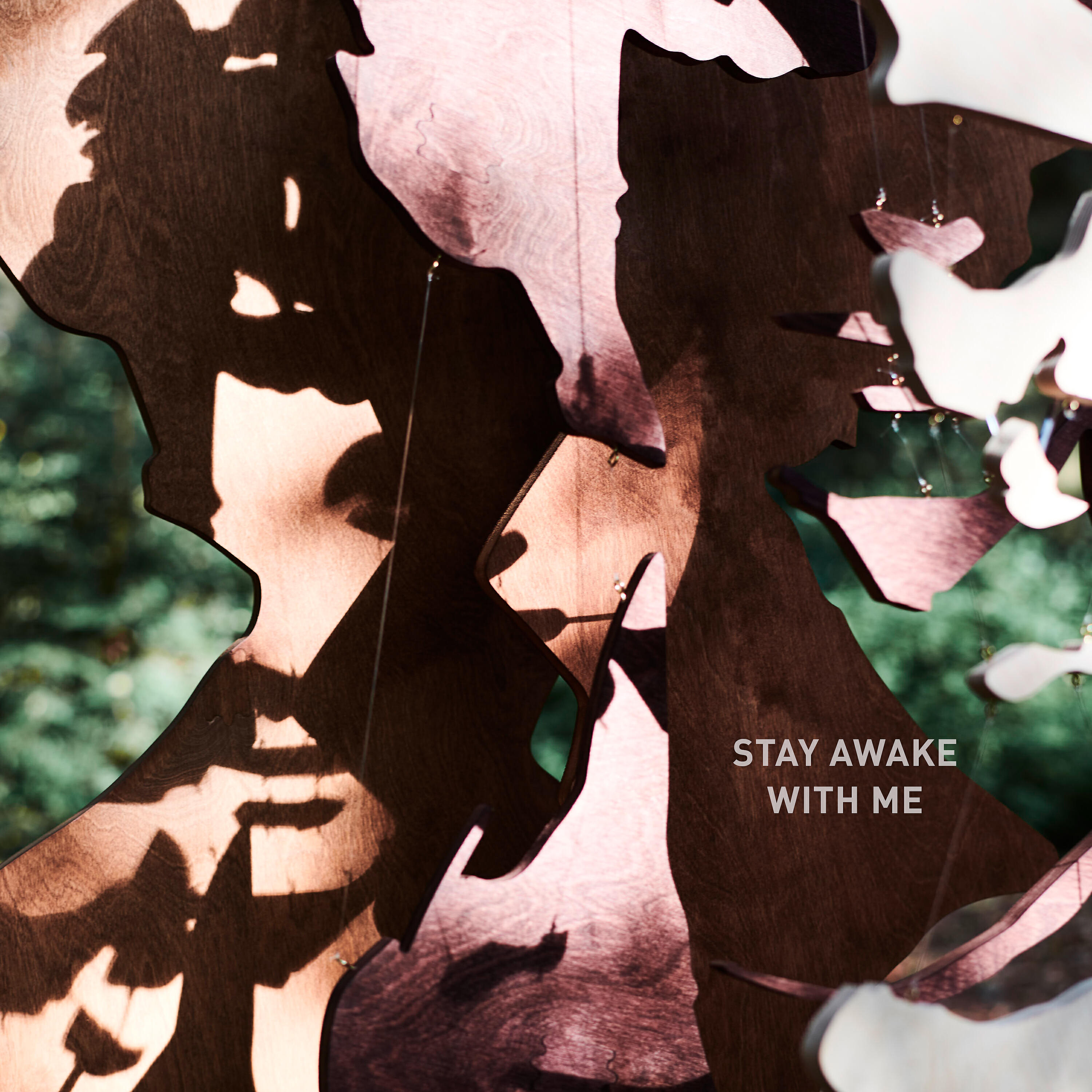 Релиз Stay Awake with Me