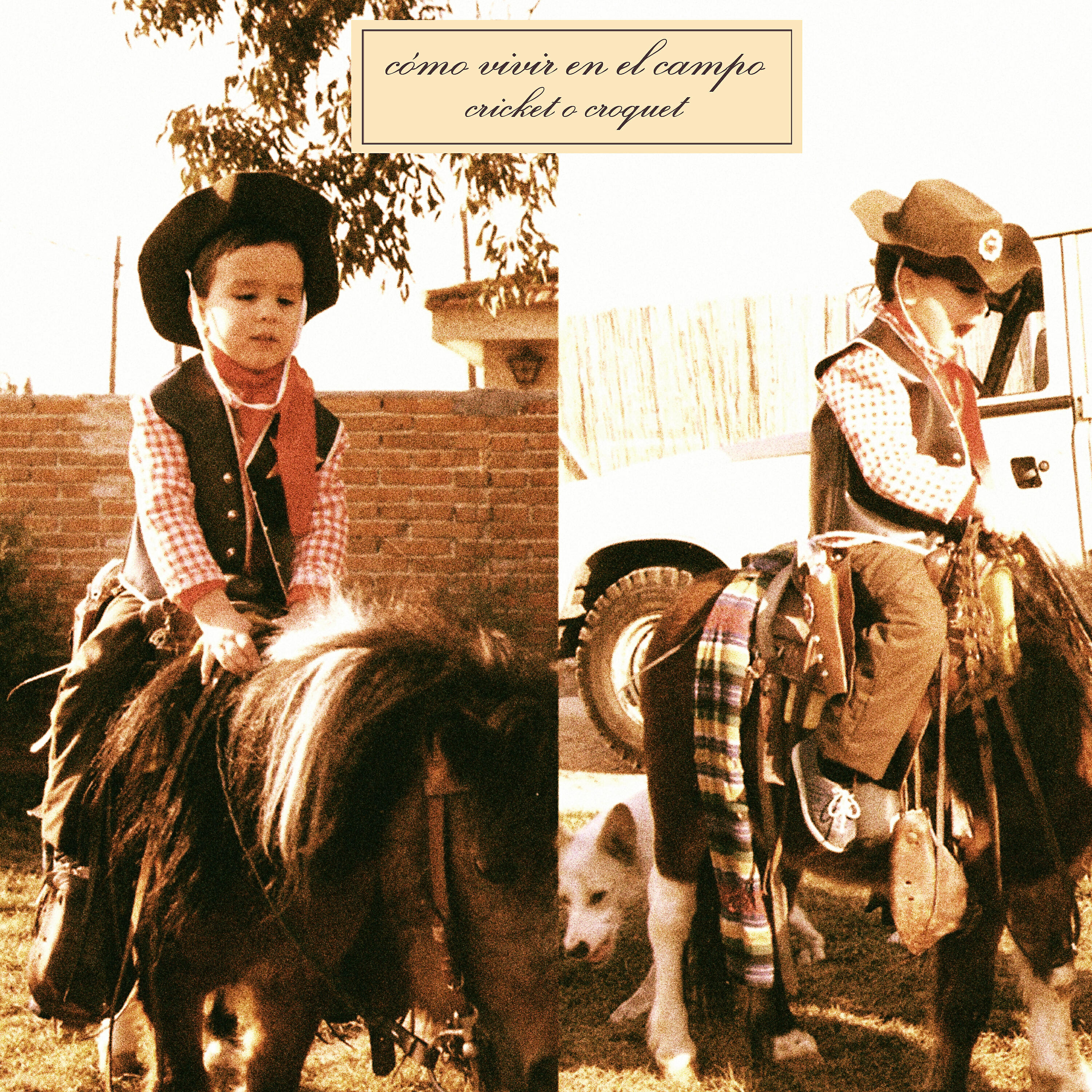 Релиз Cricket o Croquet