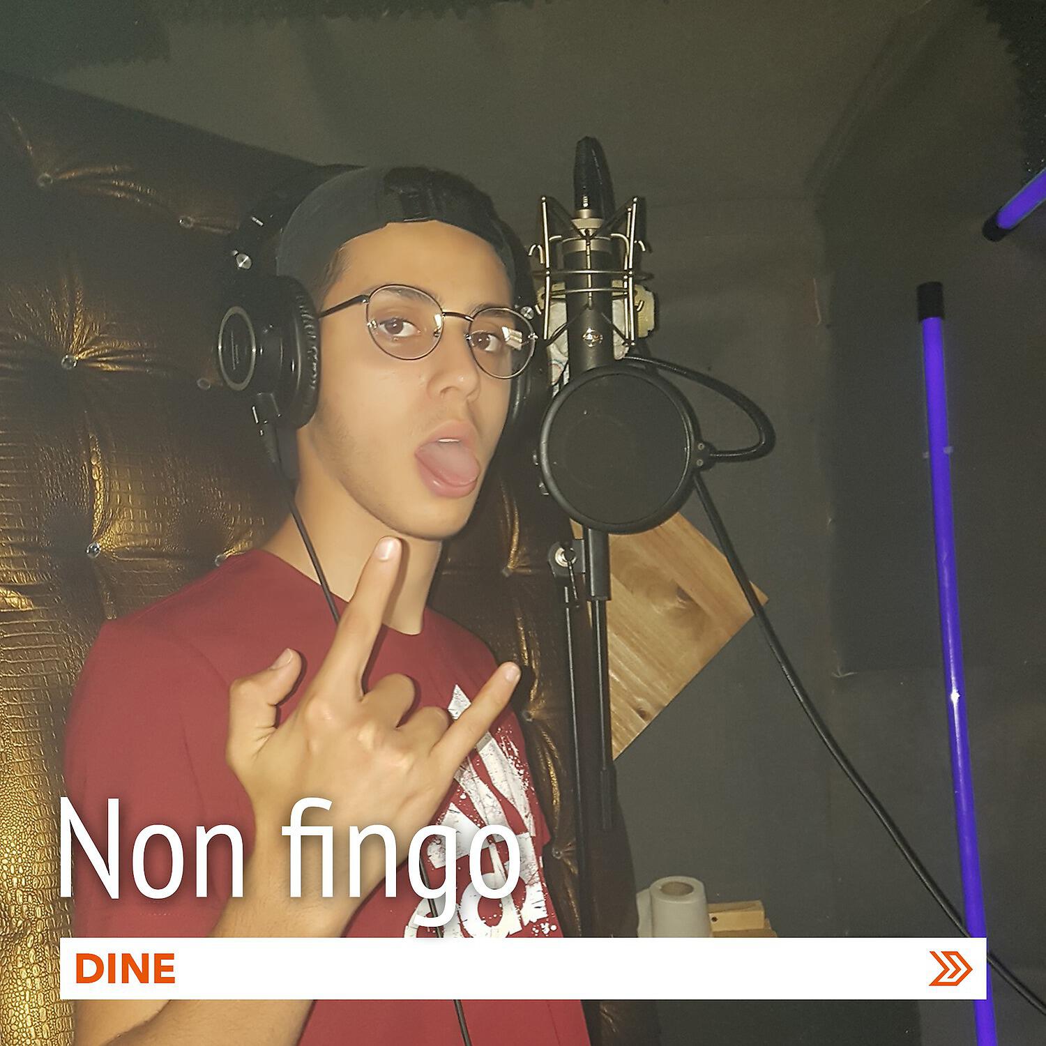 Релиз Non fingo