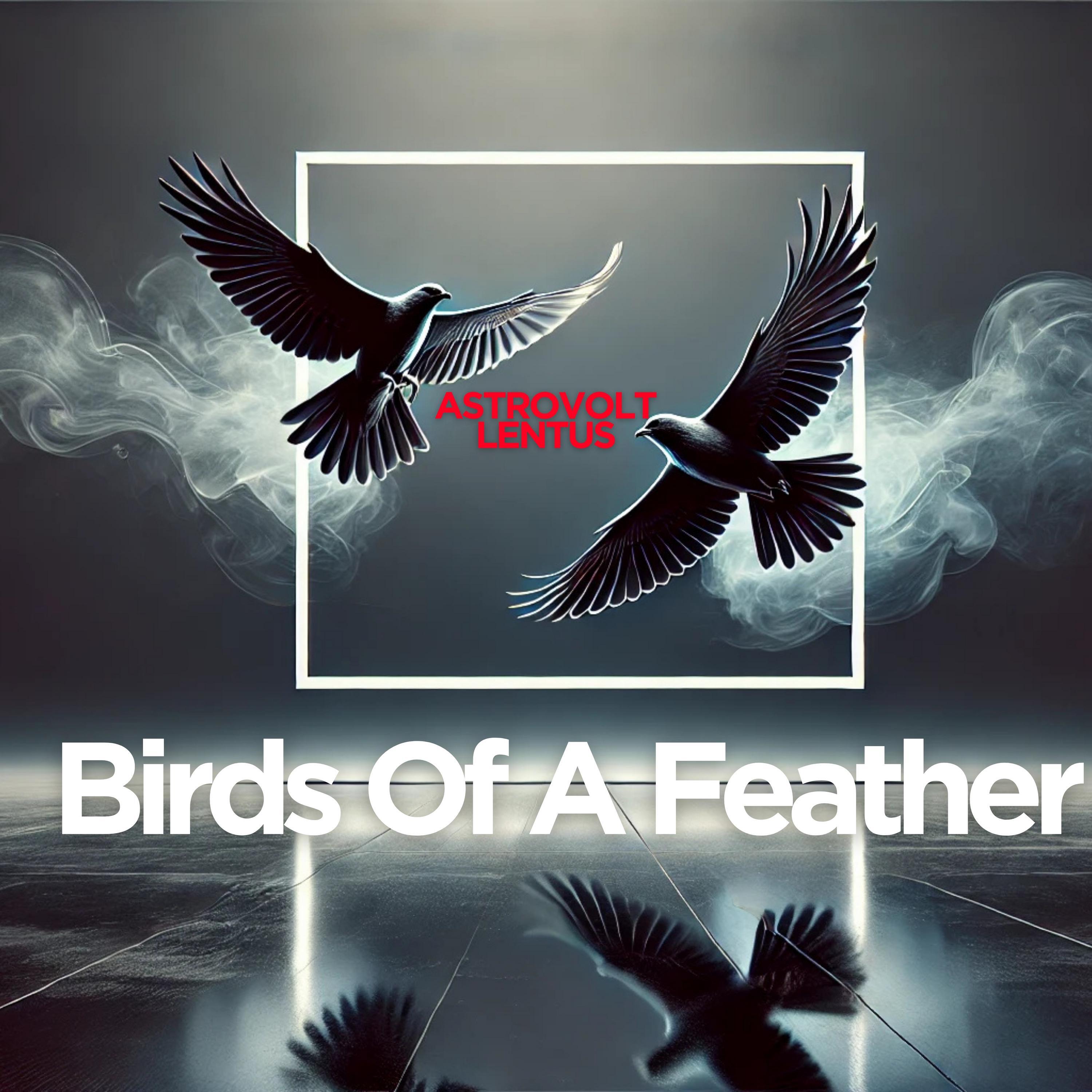 Релиз Birds Of A Feather