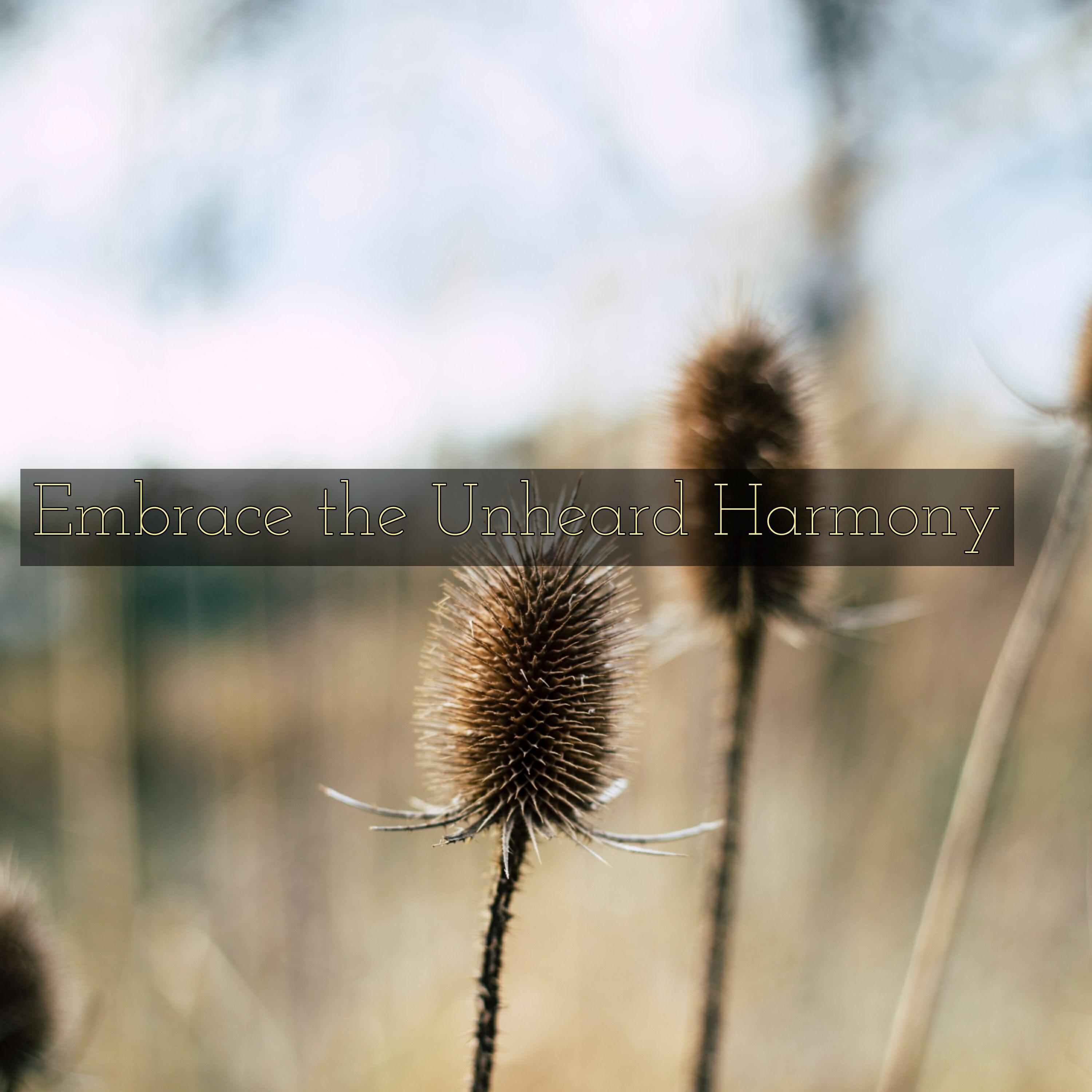Релиз Embrace the Unheard Harmony