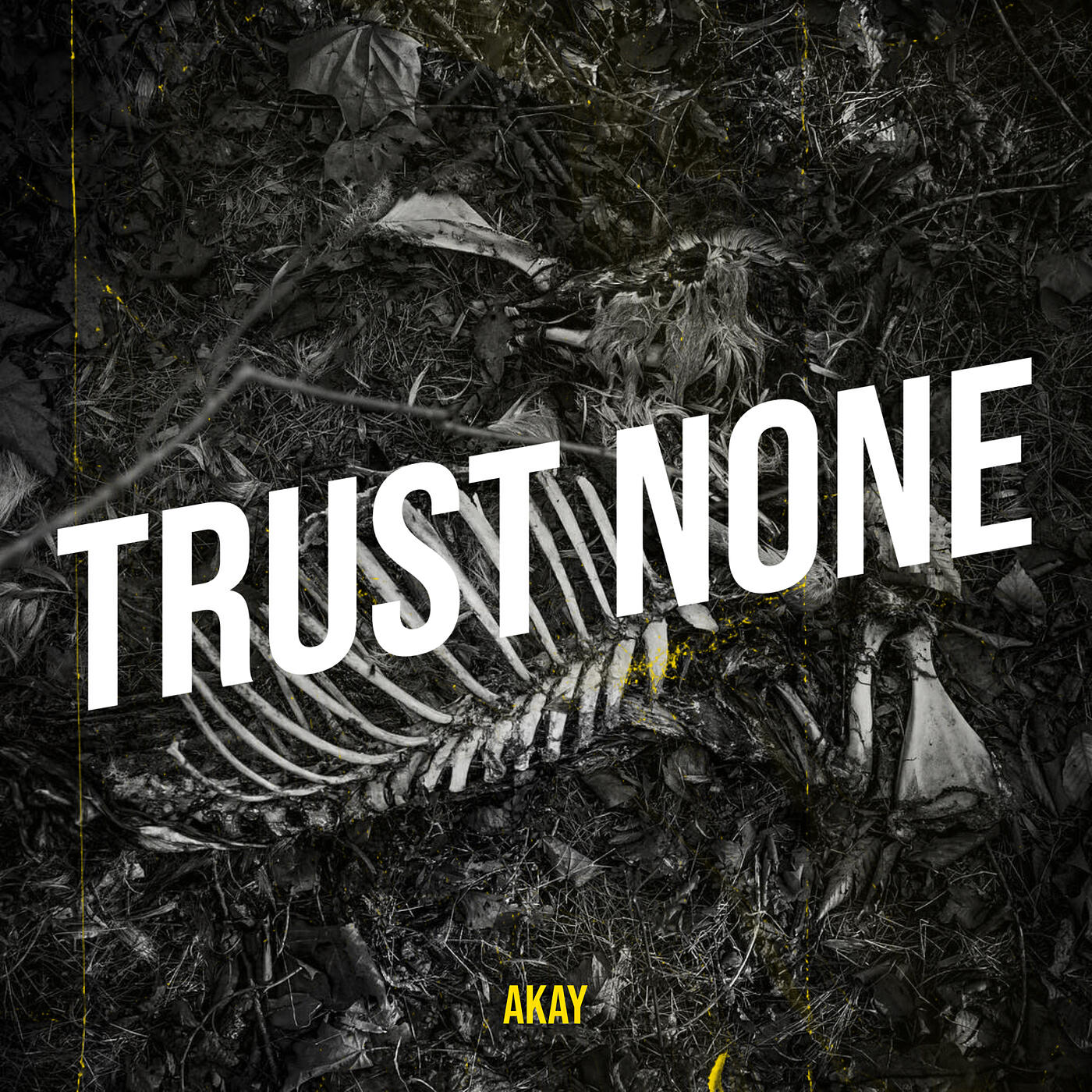 Релиз Trust None