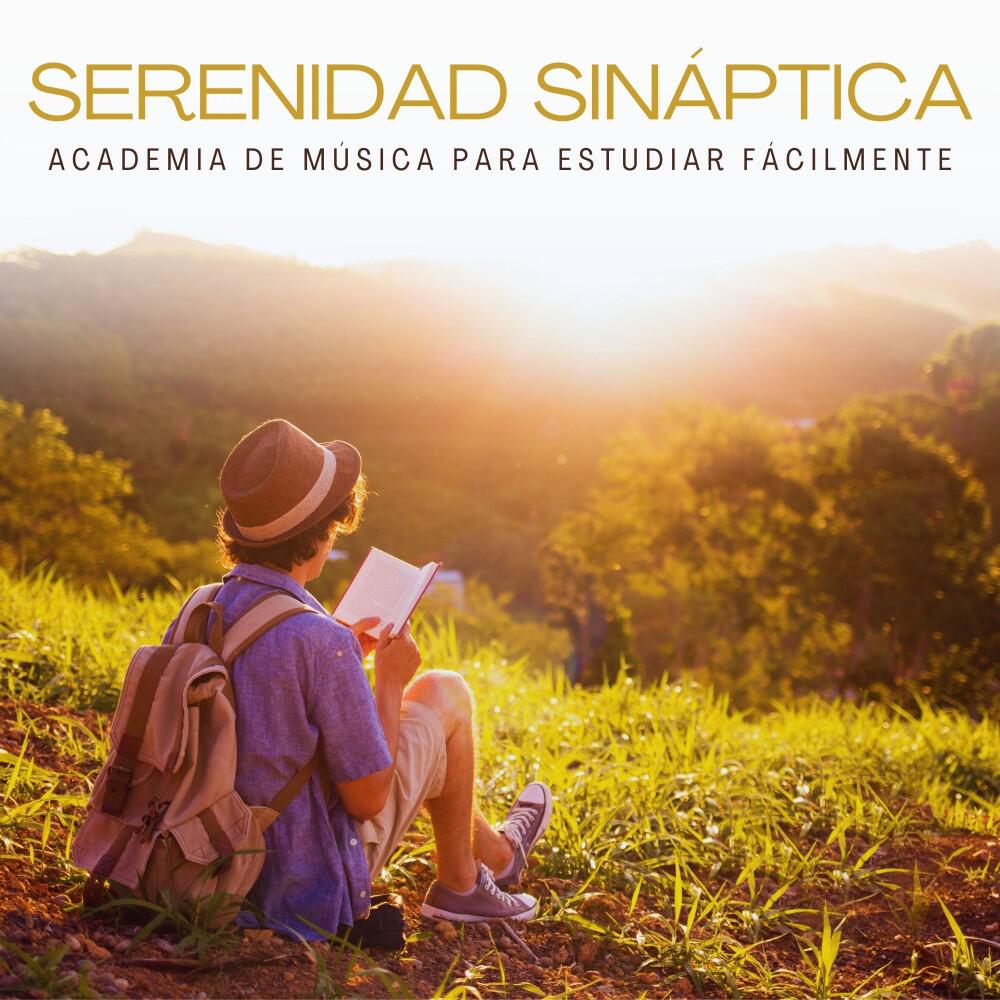 Релиз Serenidad Sináptica: Música de Trabajo