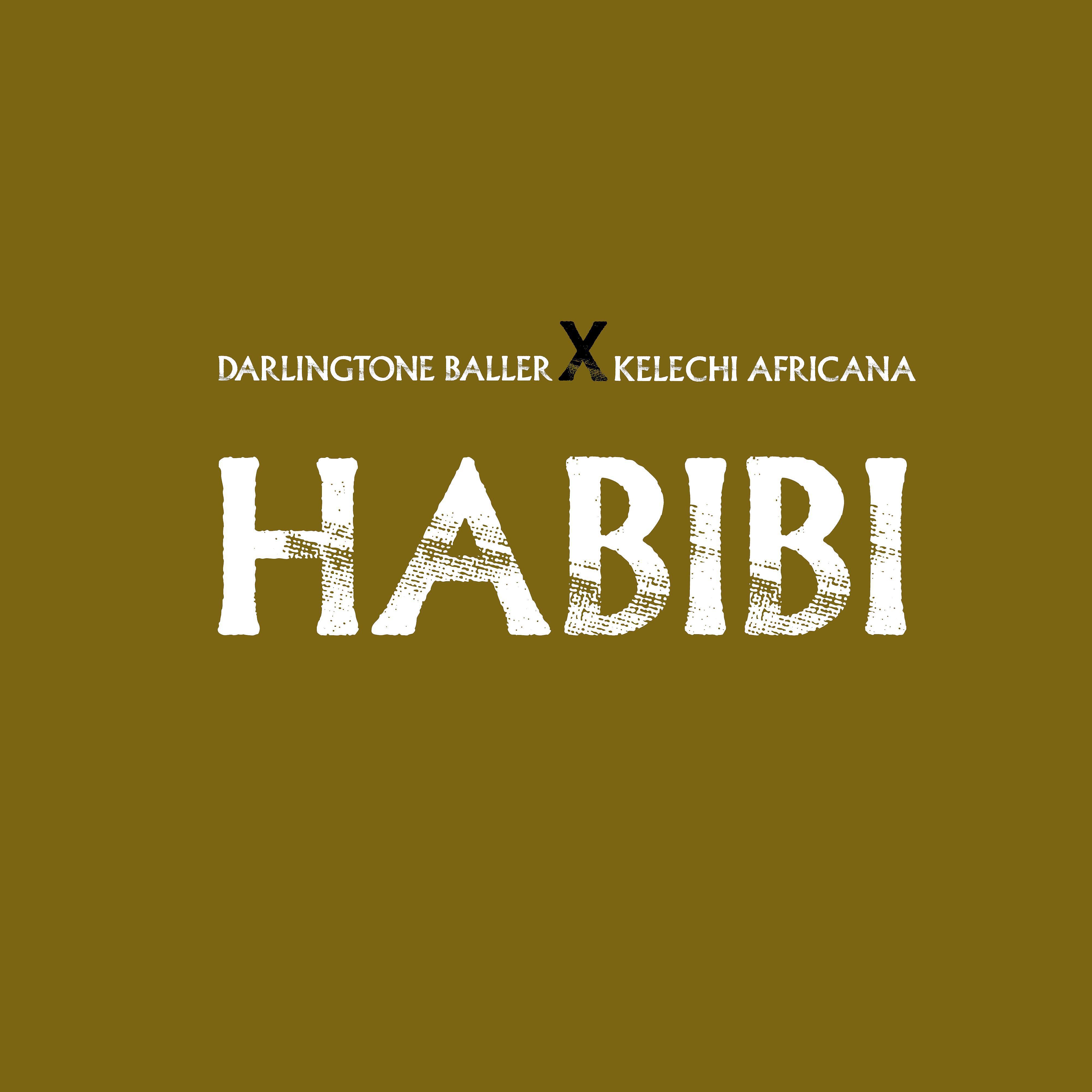 Релиз Habibi (feat. Kelechi Africana)