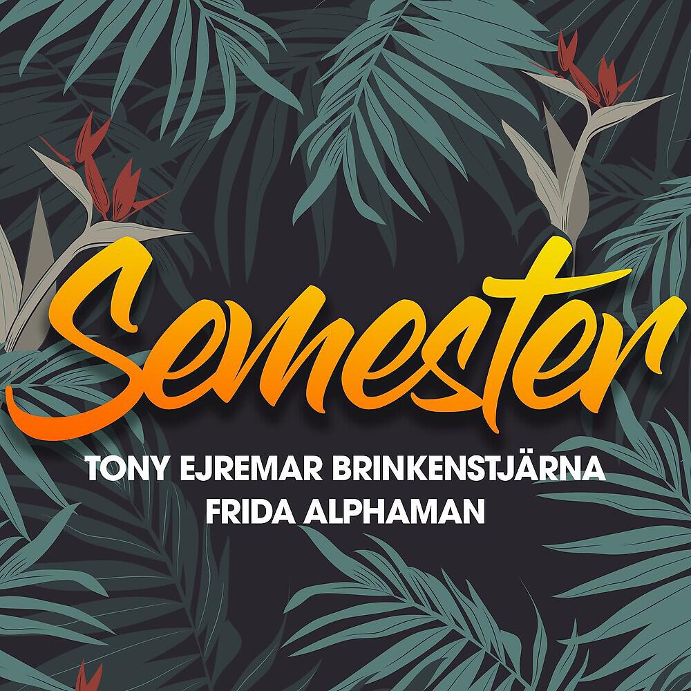 Релиз Semester