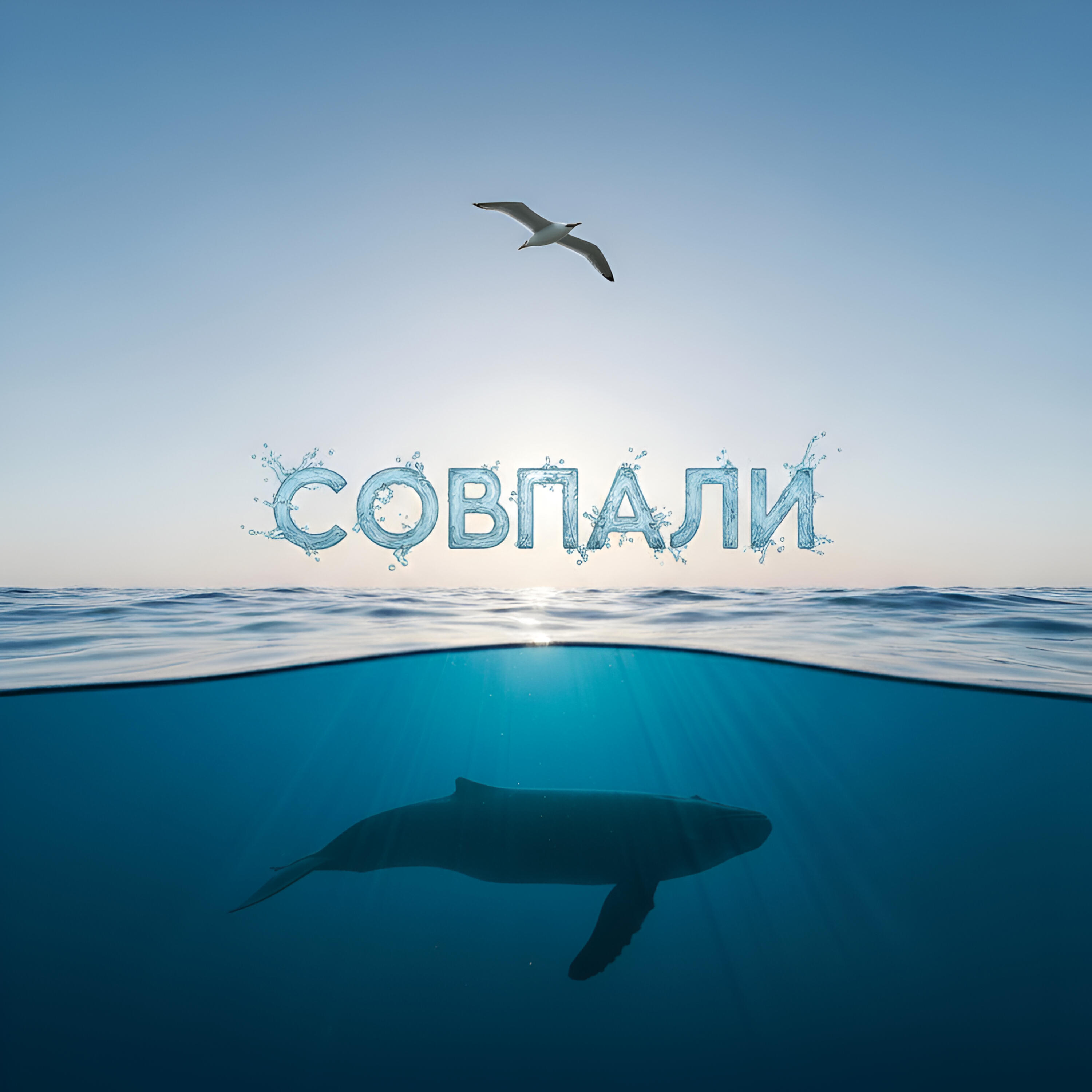 Релиз СОВПАЛИ