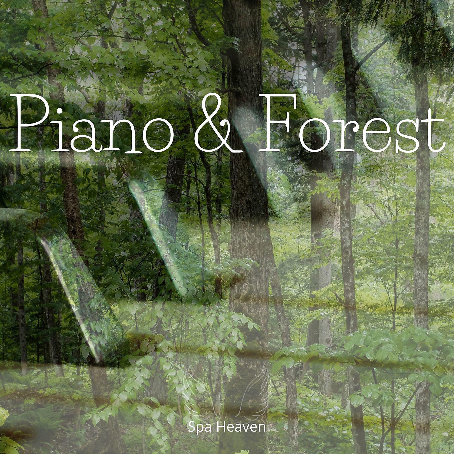 Релиз Piano & Forest