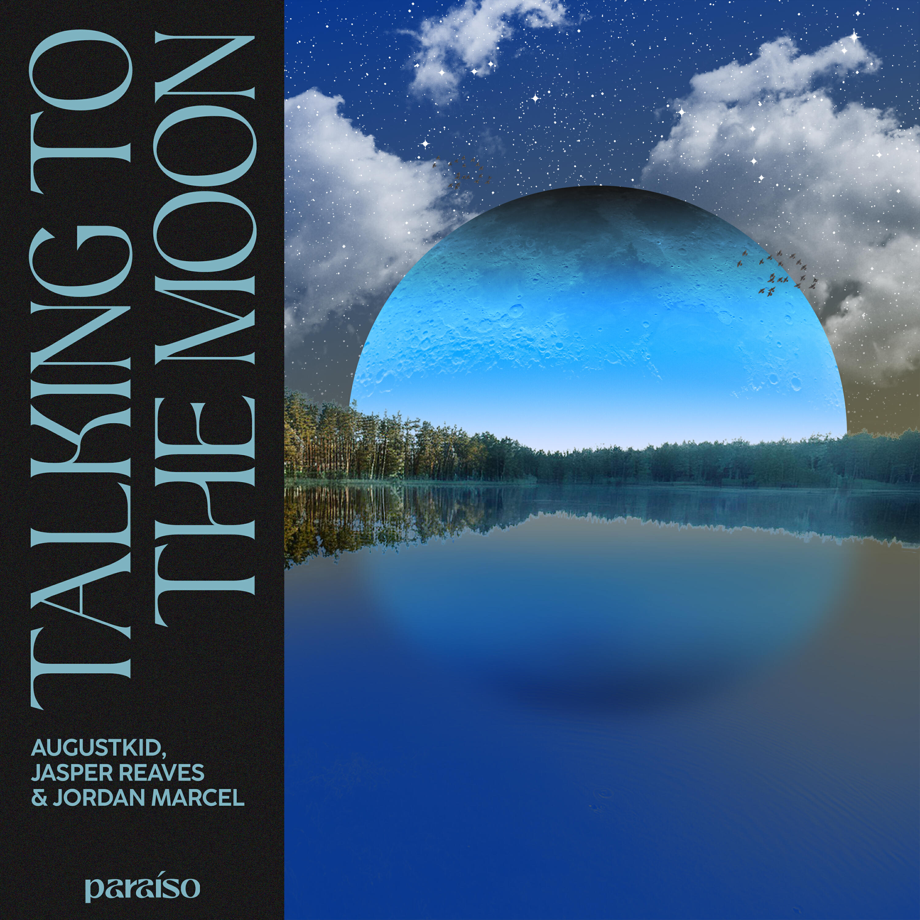 Релиз Talking To The Moon
