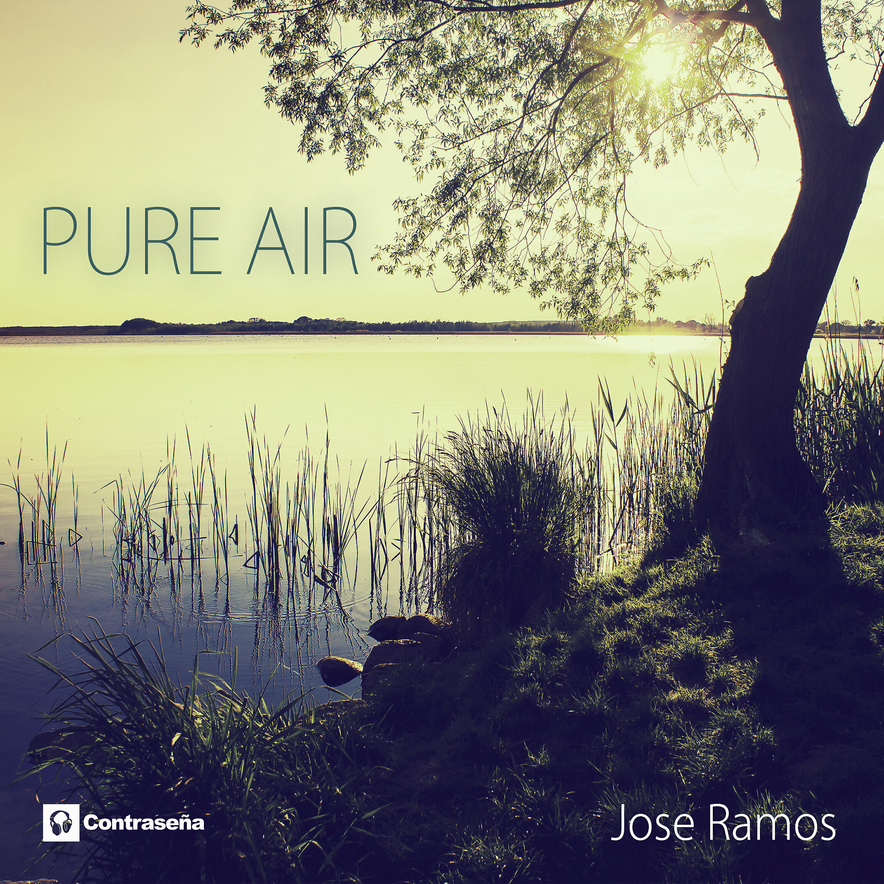 Релиз Pure Air